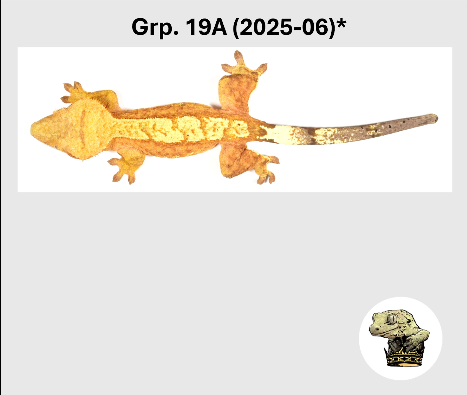 19A (2025-06) Star.png