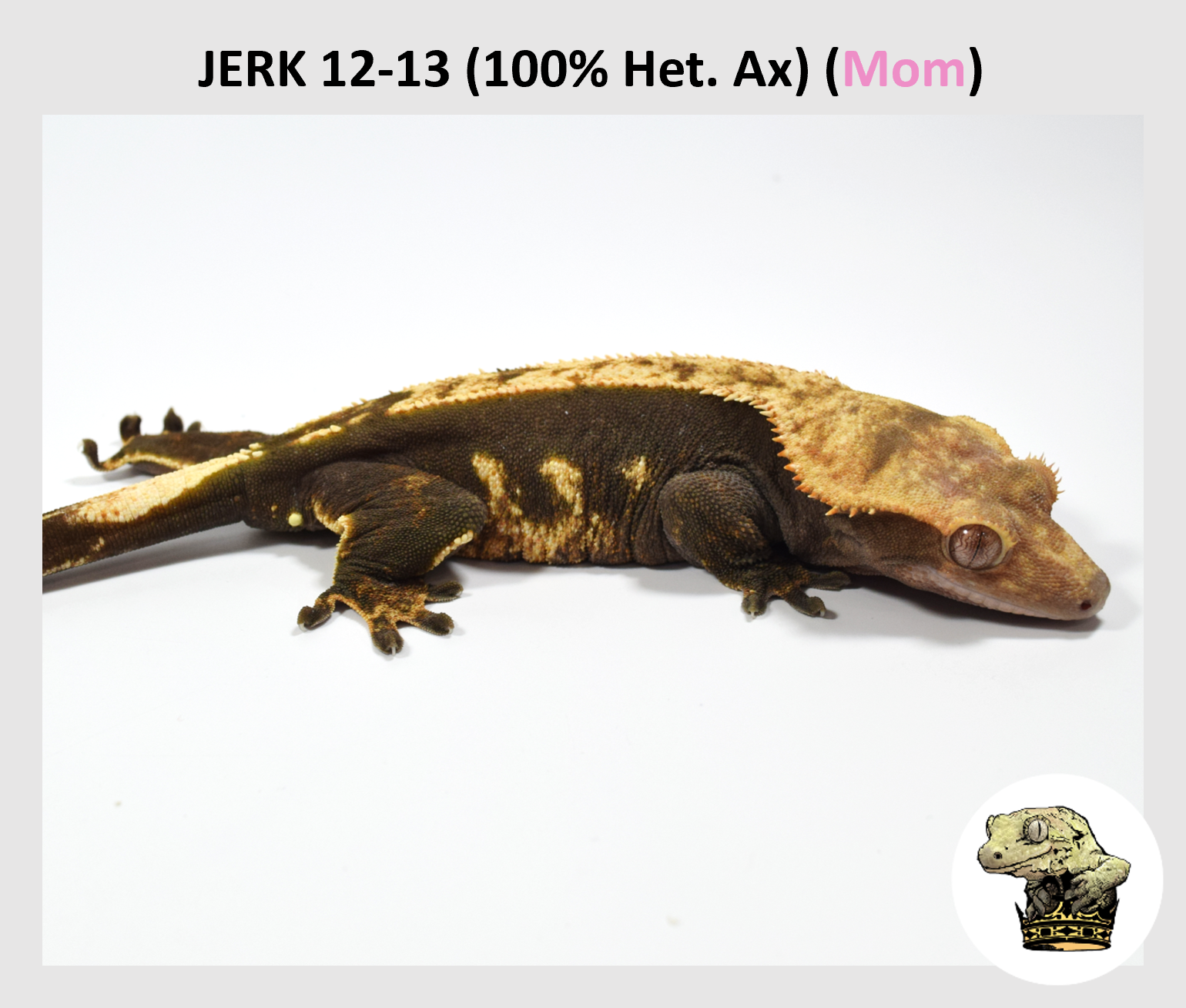 4A Female.png
