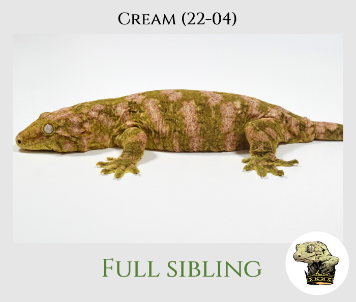 Cream Sibling (1).png