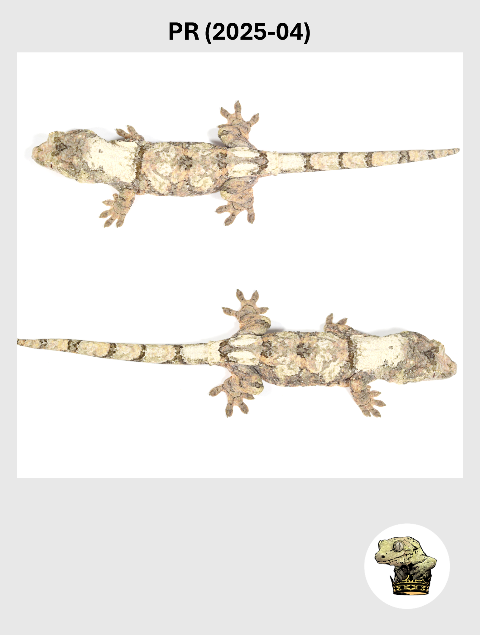 PR (2025-04) (2026-10-02) (5) SQSP.png