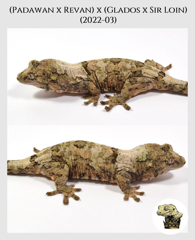 PR (2022-03) (2023-04-30) (2).png