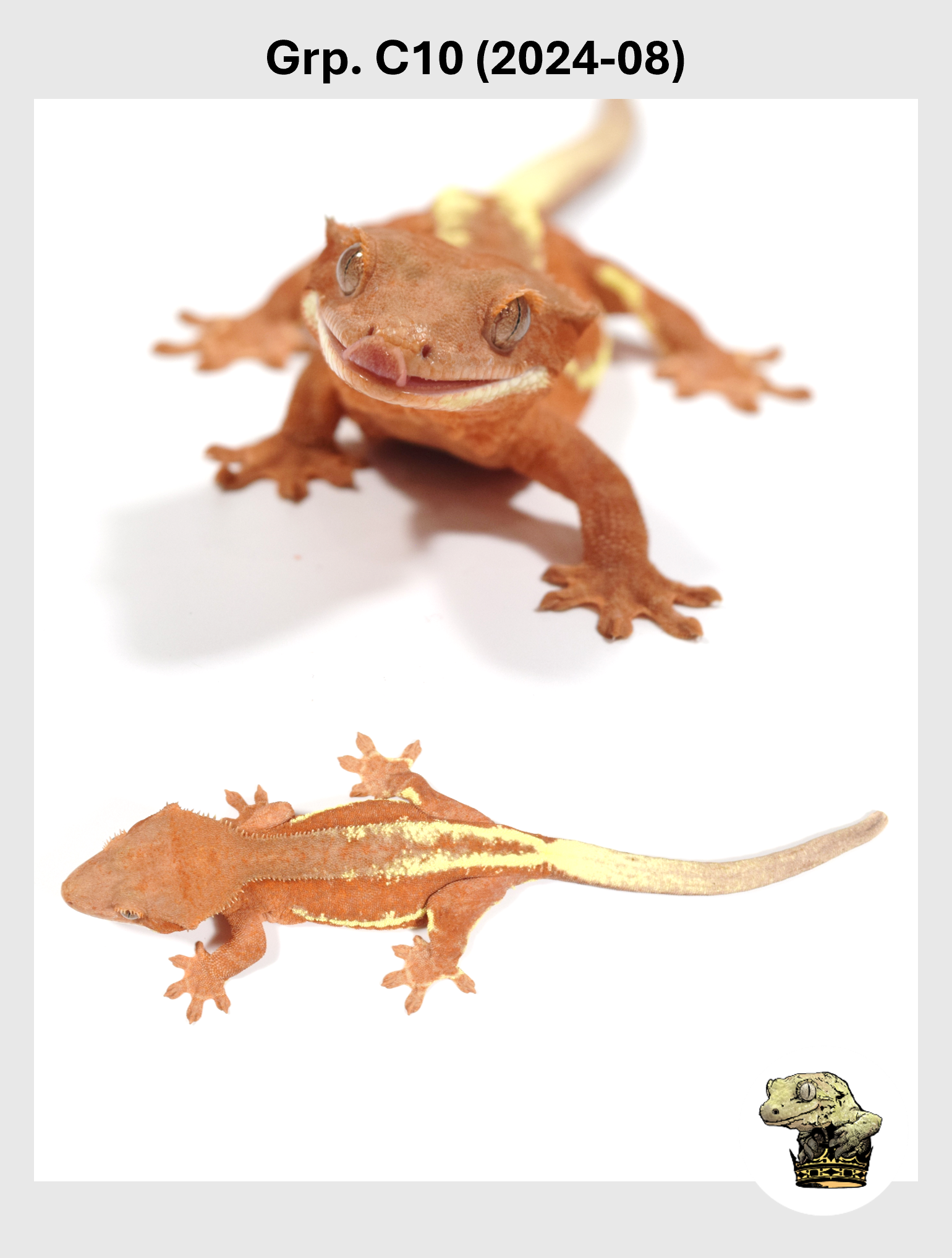 SQSP Grp. C10 (2024-08) (2025-08-26) (2).png