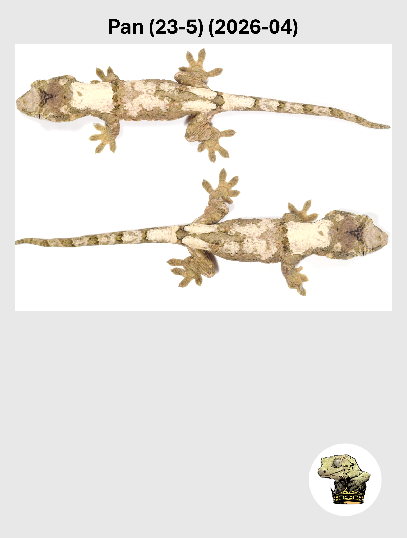 Super High White Striped Line Male*! Pan (23-5) (2026-04)