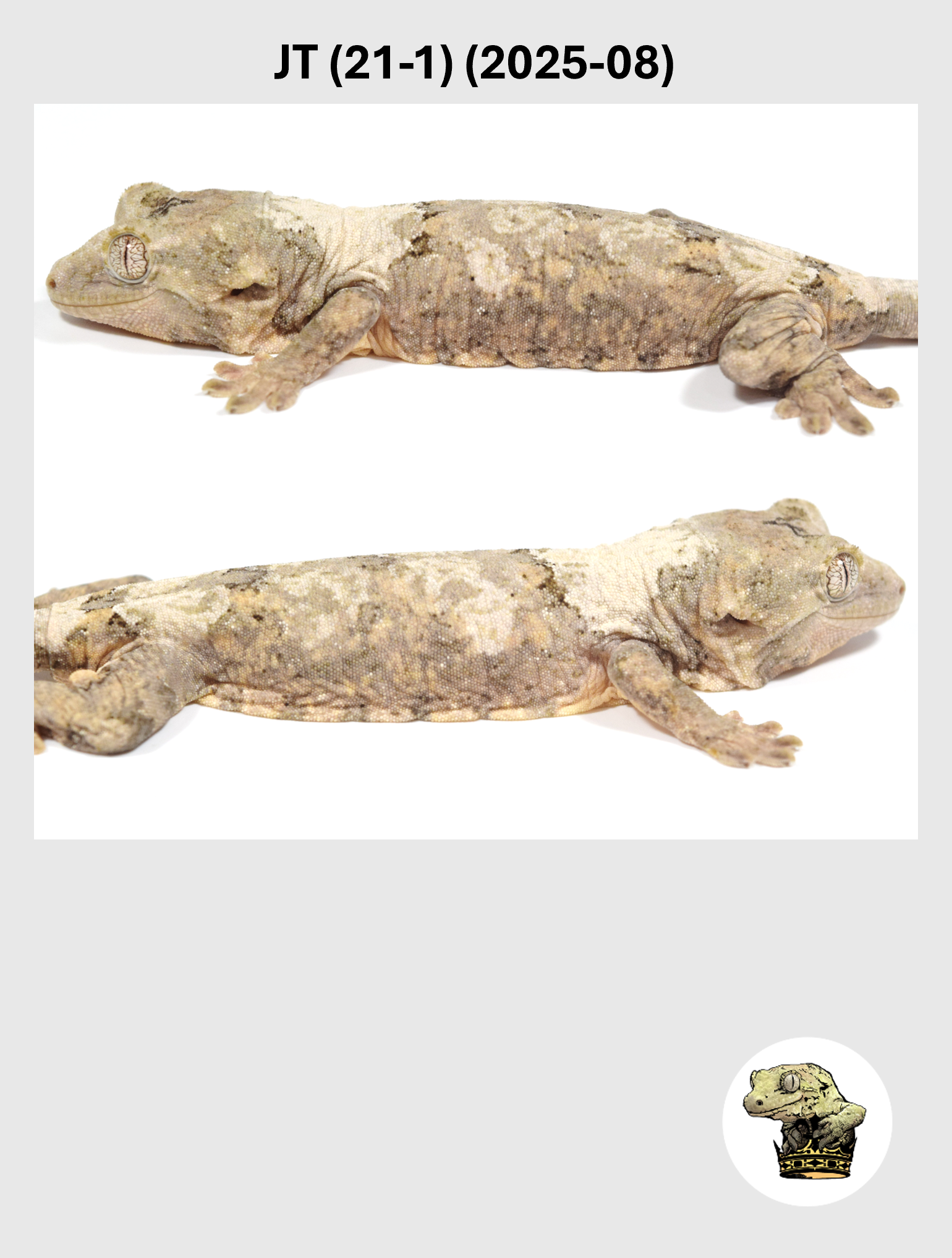 JT (21-1) (2025-08) (2026-03-04) (4) SQSP.png