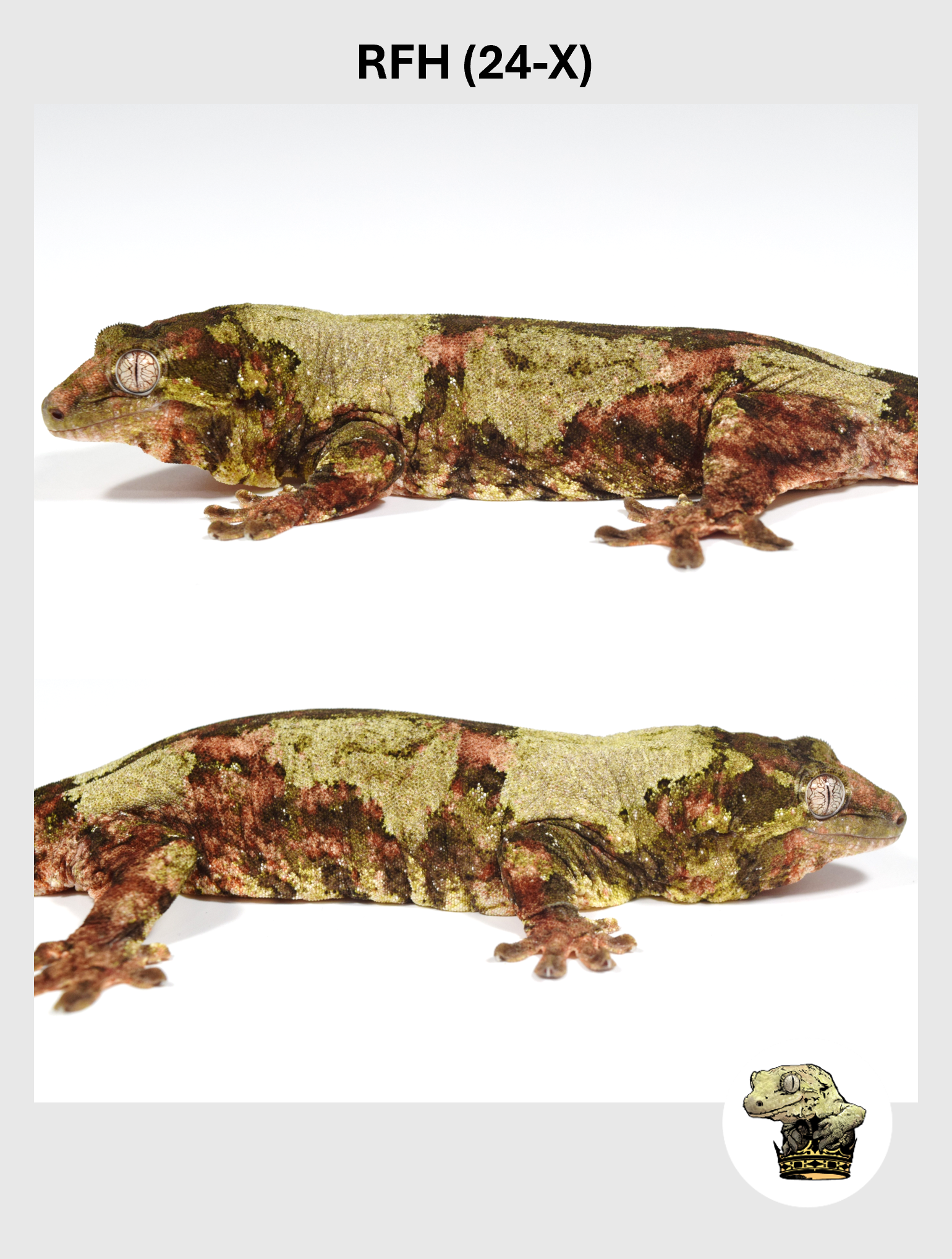 RFH (24-X) (2025-12-22) (2) SQSP.png