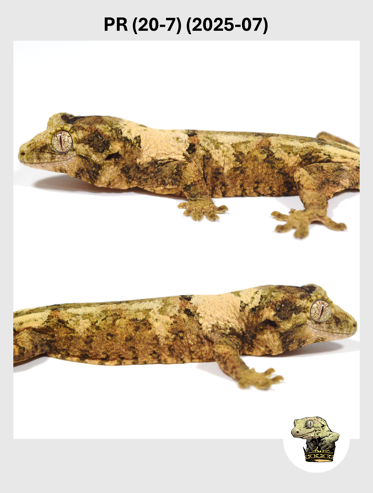 PR (20-7) (2025-07) (2025-12-16) (2) SQSP.png (Copy)