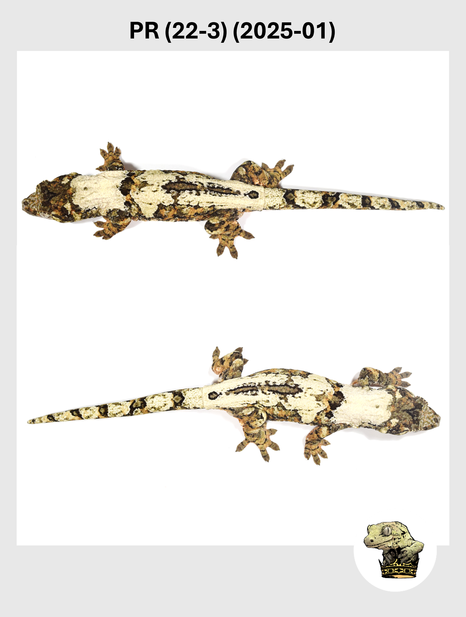 PR (22-3) (2025-01) (2025-12-16) (3) SQSP.png