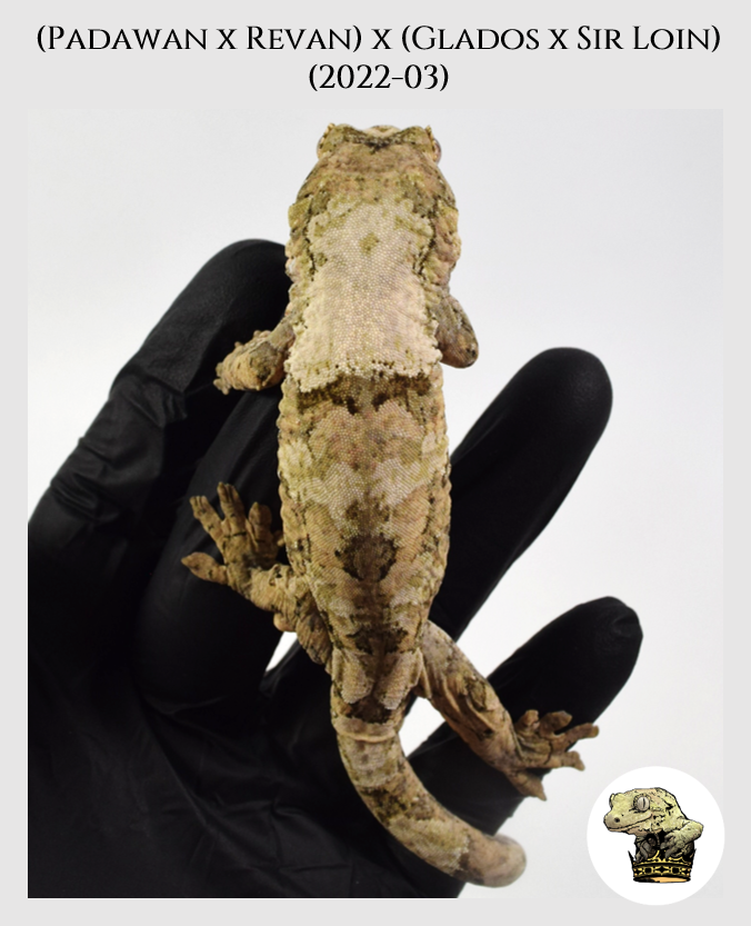 PR (2022-03) (2023-04-30) (1).png