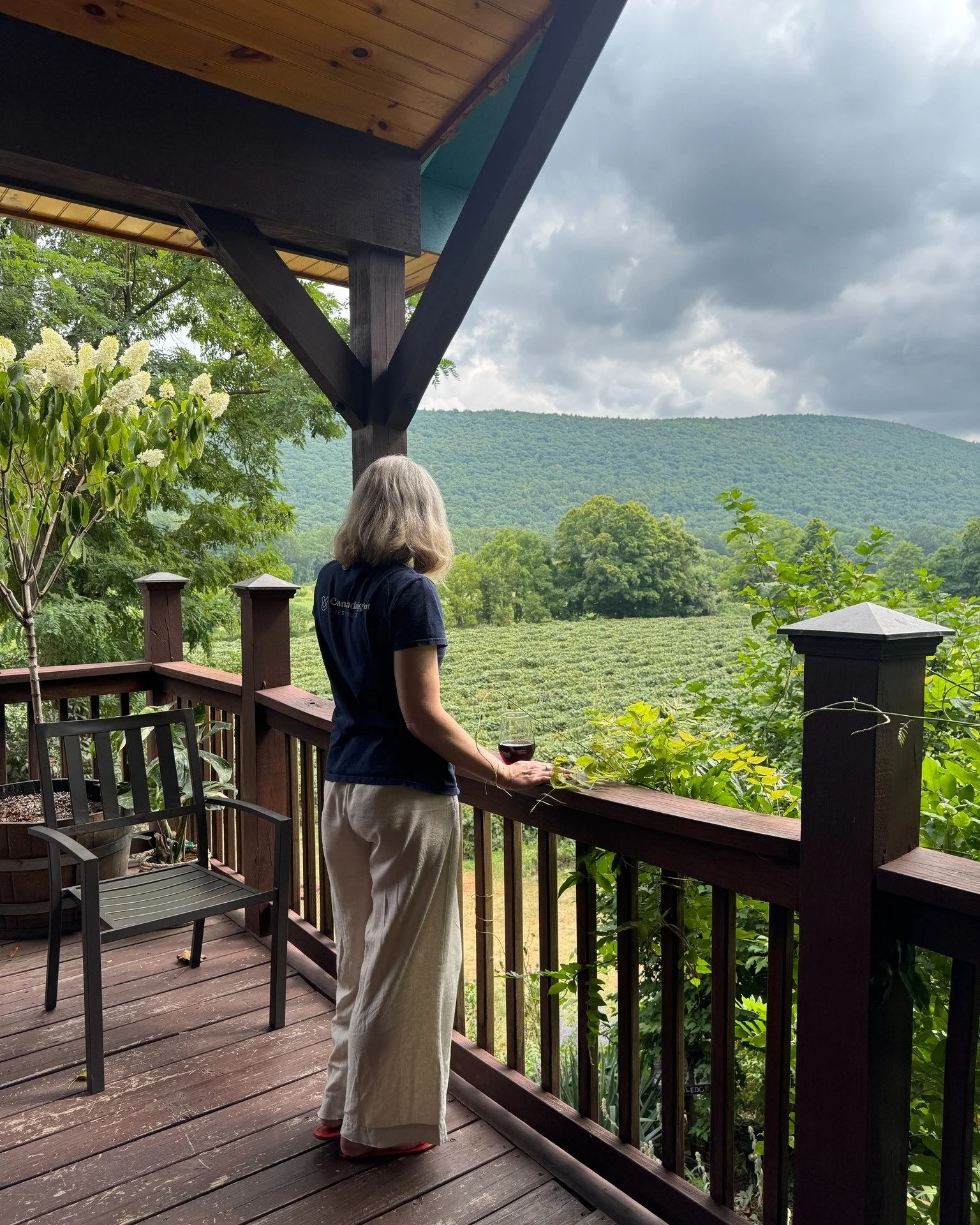 Lake views are lovely, but there's something magical about being in the valley surrounded by the hills in Naples. Plus, we love the vibe and wine at @inspiremoorewinery 
.
.
.
 #traveltips #innkeeperlife #fingerlakesbedandbreakfast #supportsmallbusin