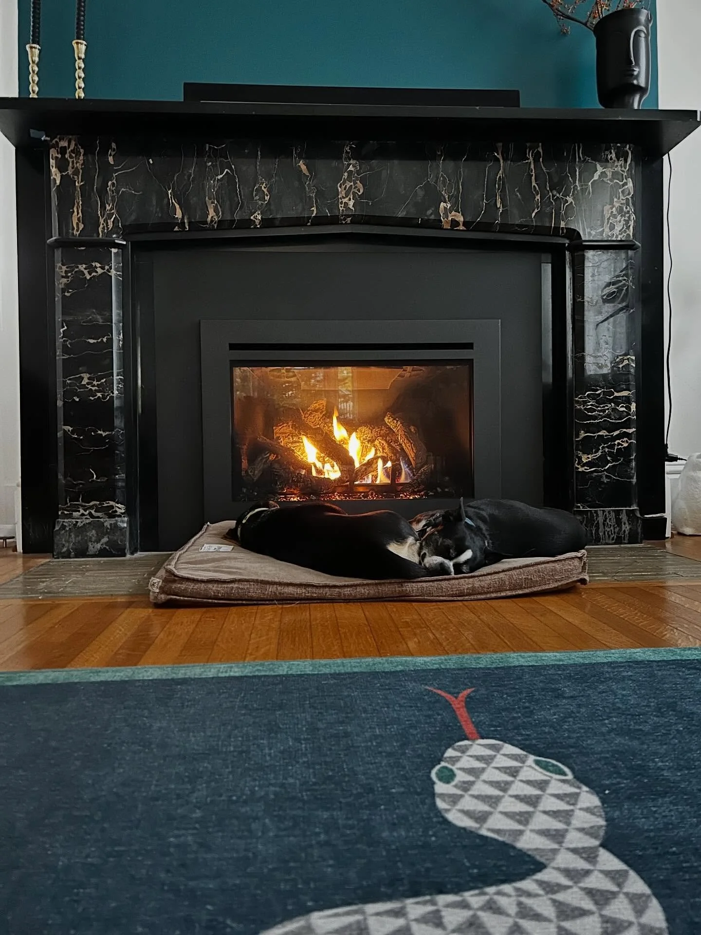 It is officially fireplace season in the finger lakes. #bedandbreakfast #bedandbreakfastdogs #fingerlakes #fireplacedogs #jonathanadlerdesign