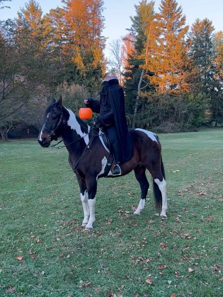 Fall is when the finger lakes really come alive, or dead 🤔, from headless horsemen to mansion mysteries, visit Canandaigua to get your spook on. #halloween #spookyszn #fingerlakes #flx #bedandbreakfast