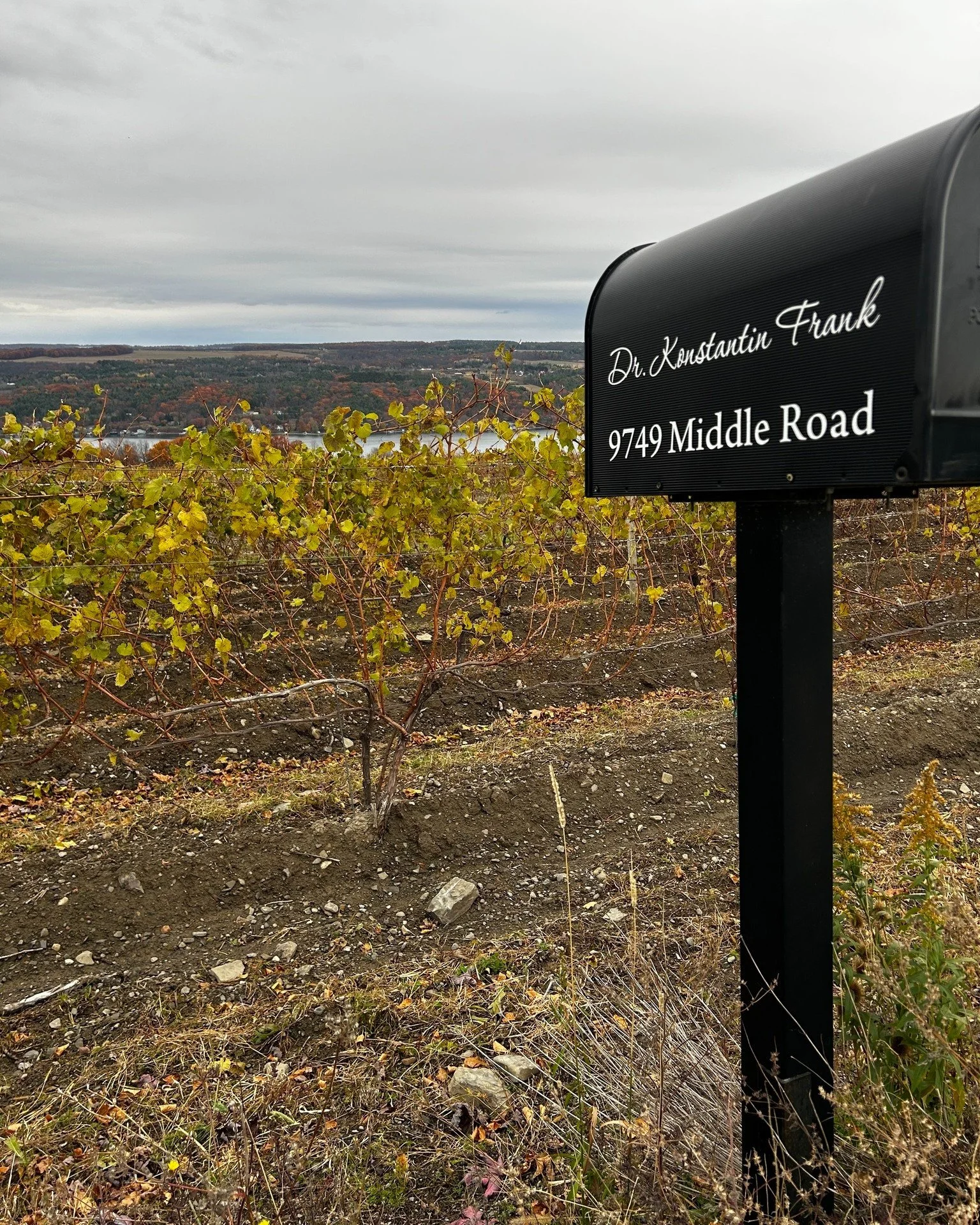 There may be snow in the forecast but it sill looks like fall in the finger lakes. Plus, the vineyards are extra cozy this time of year and the fireplace at the B&amp;B is the perfect setting to sip the bottles you discover on the wine trail. 
.
.
 #