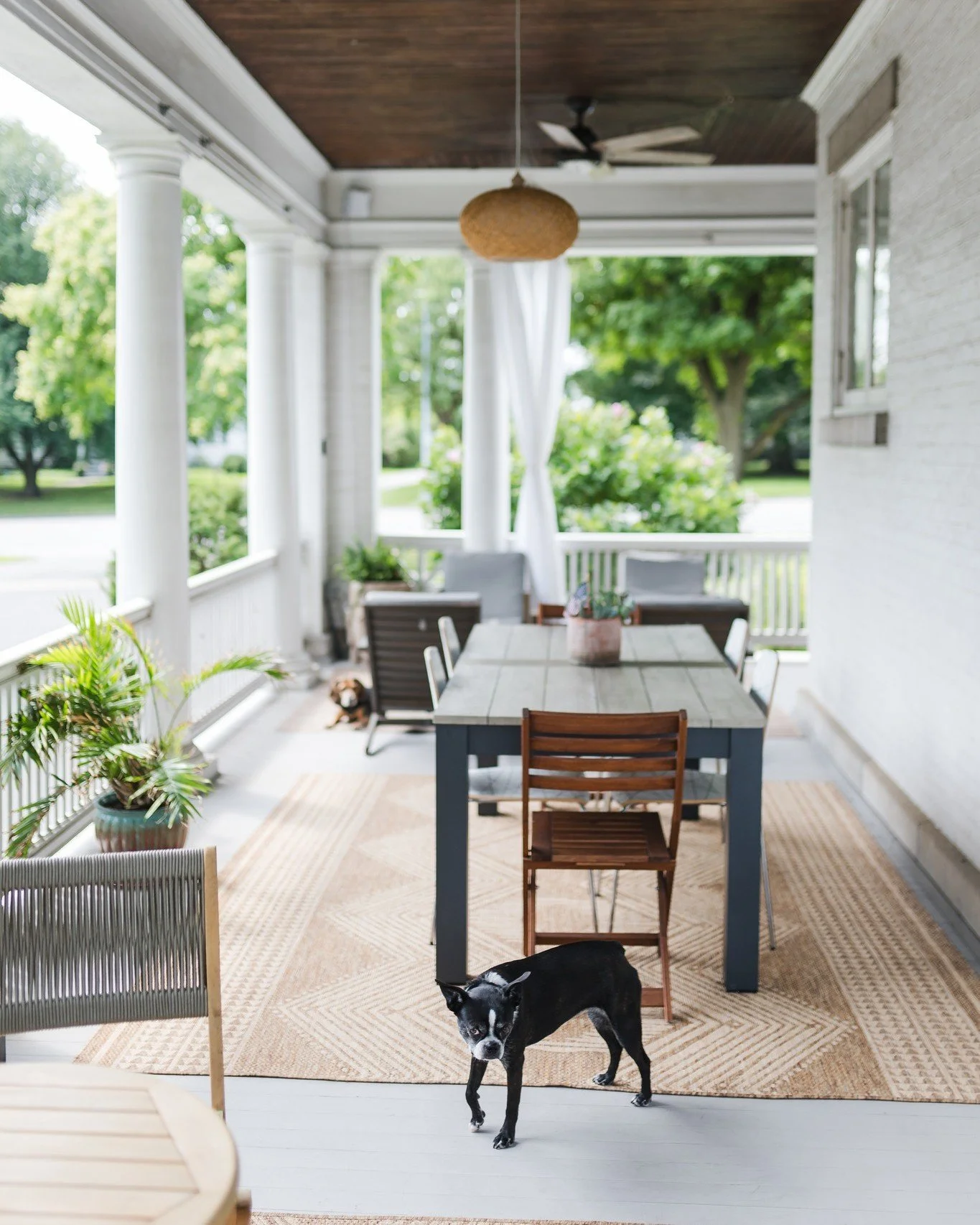 We couldn't let National Dog Day pass without a shoutout to our favorite guesthouse dogs, Lola, Hope, and the helpful stone pug that holds the screen door for you, making it easier to pour out onto the veranda and enjoy these last summer days. Thanks
