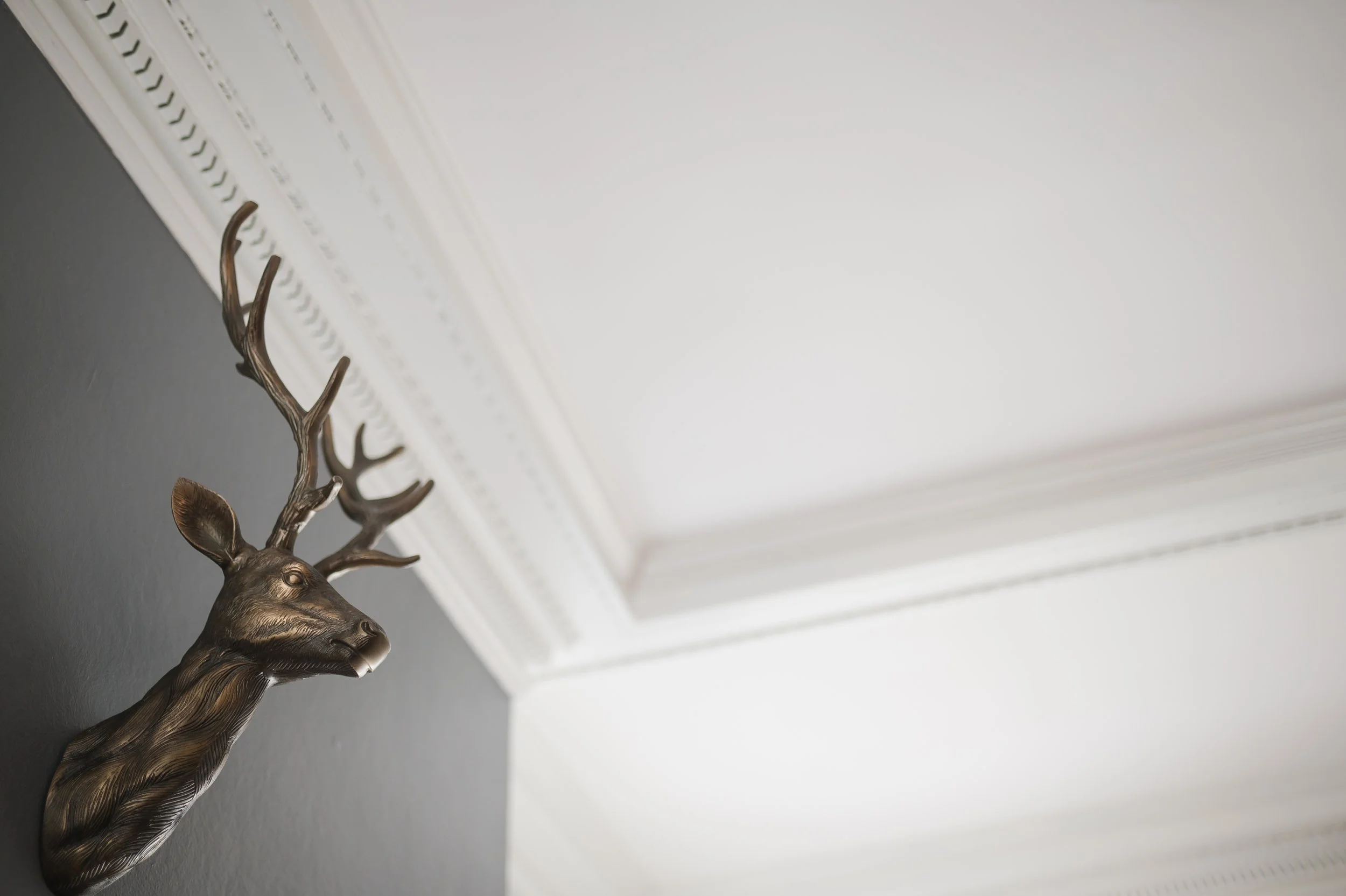deer-head-canandaigua-guesthouse-bed-and-breakfast.jpg