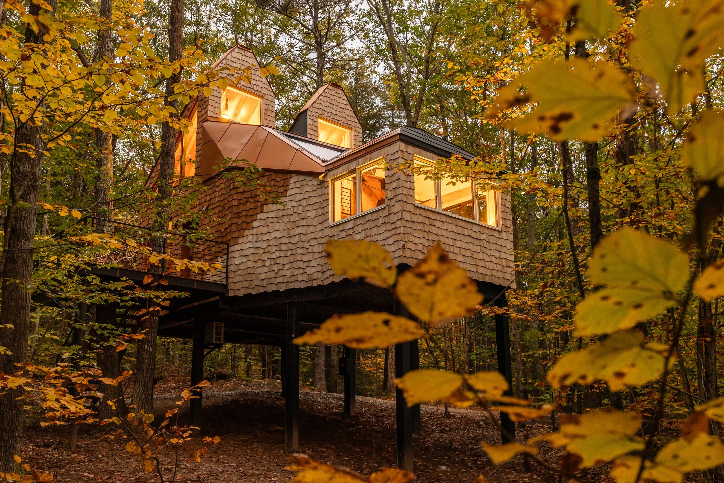 The Copper Fox Treehouse