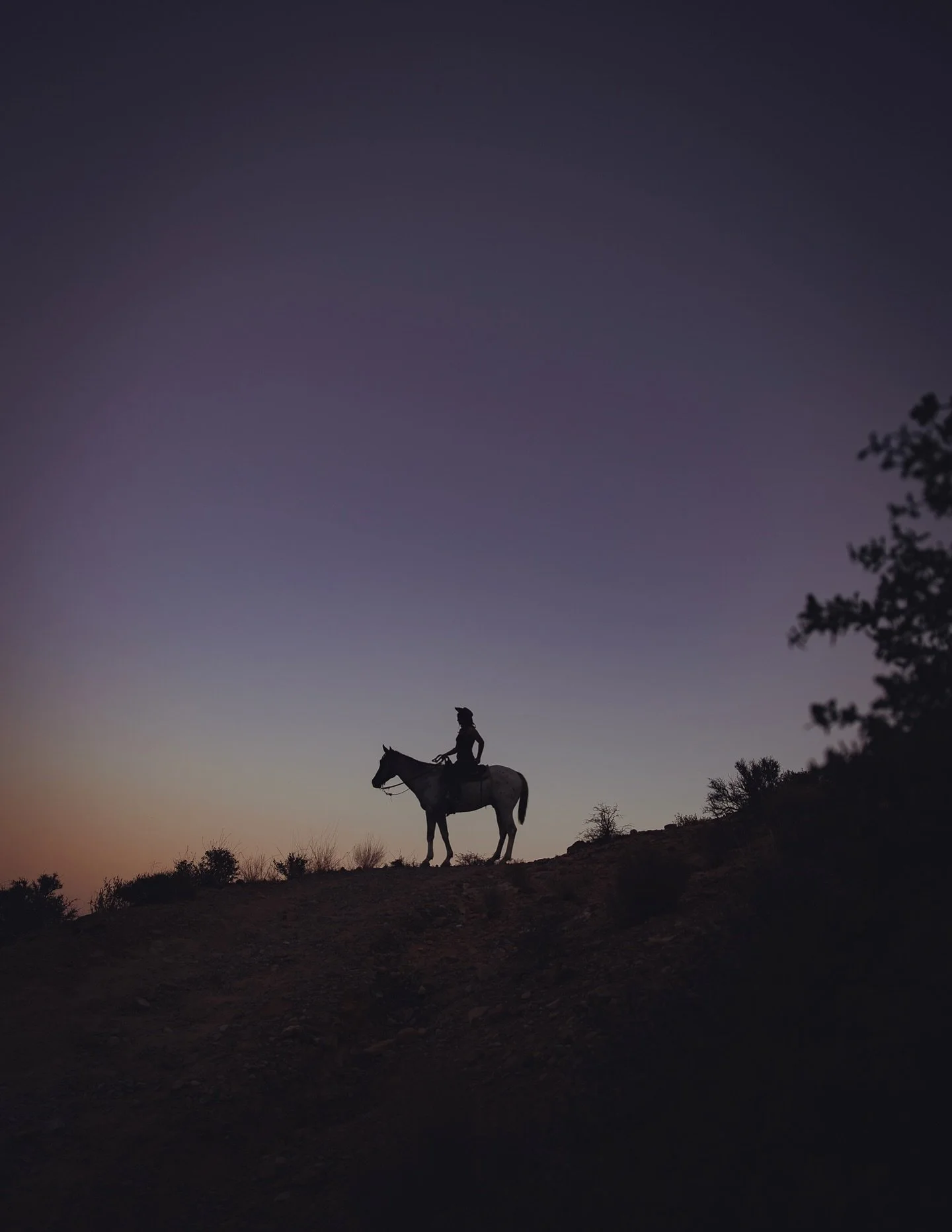 In the quiet moments, there is nothing I&rsquo;d rather do.
&mdash;&mdash;&mdash;&mdash;&mdash;
#horseriders #beyondthehorizon #lookfurther #lifestyleinspo #lifestylephotographer #horses #horsephotos #ridinghorses #lasvegasphotographer