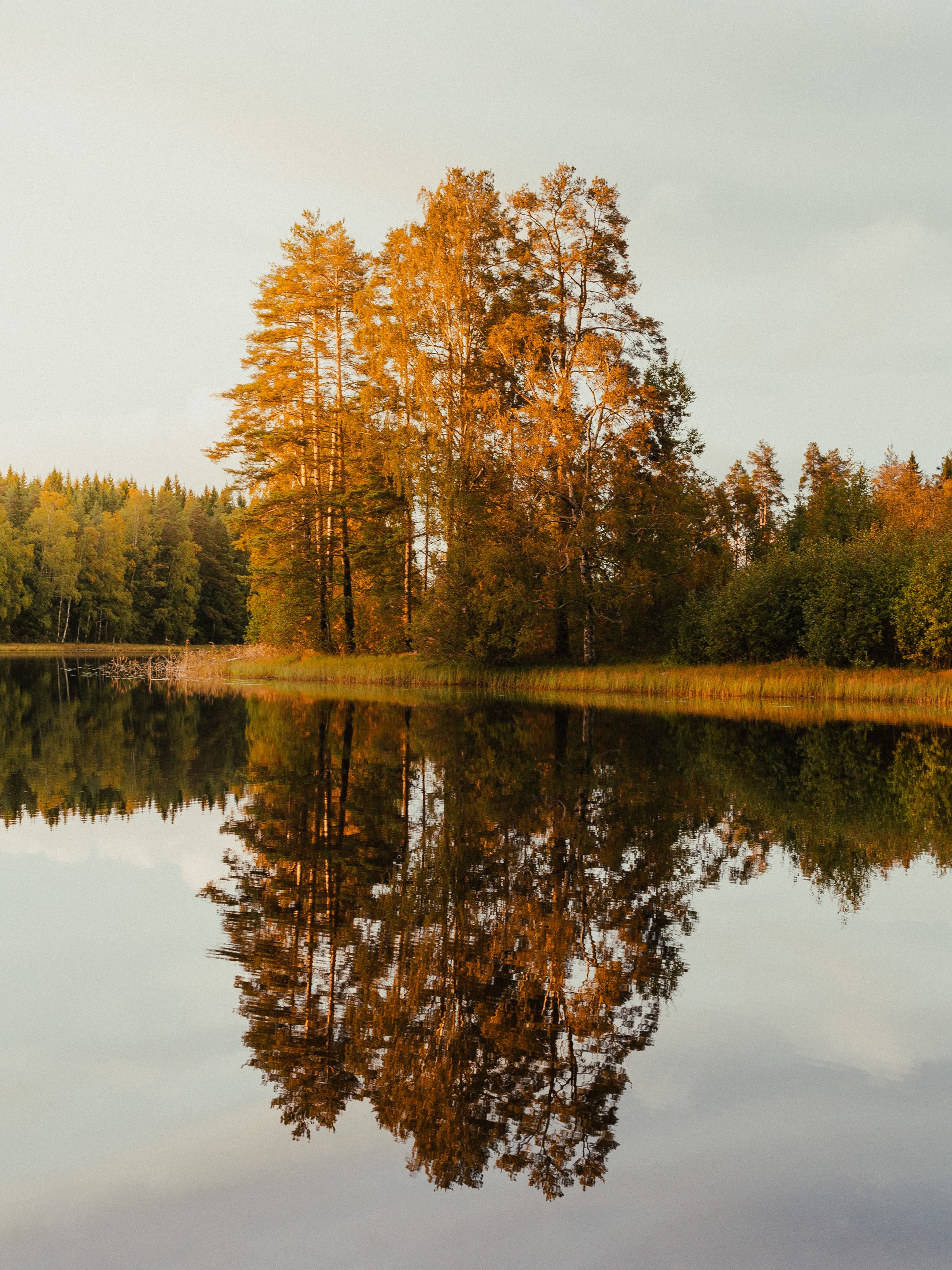 Fall-lake.jpg