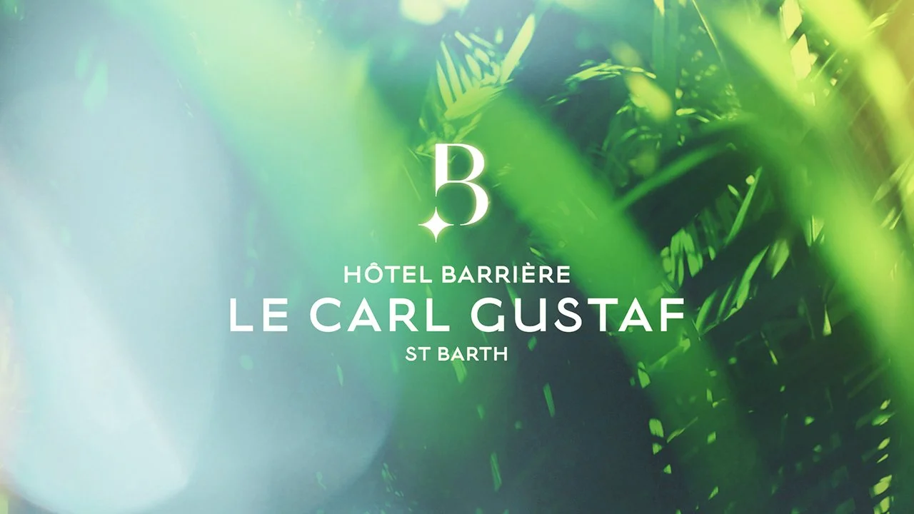 Le Carl Gustaf