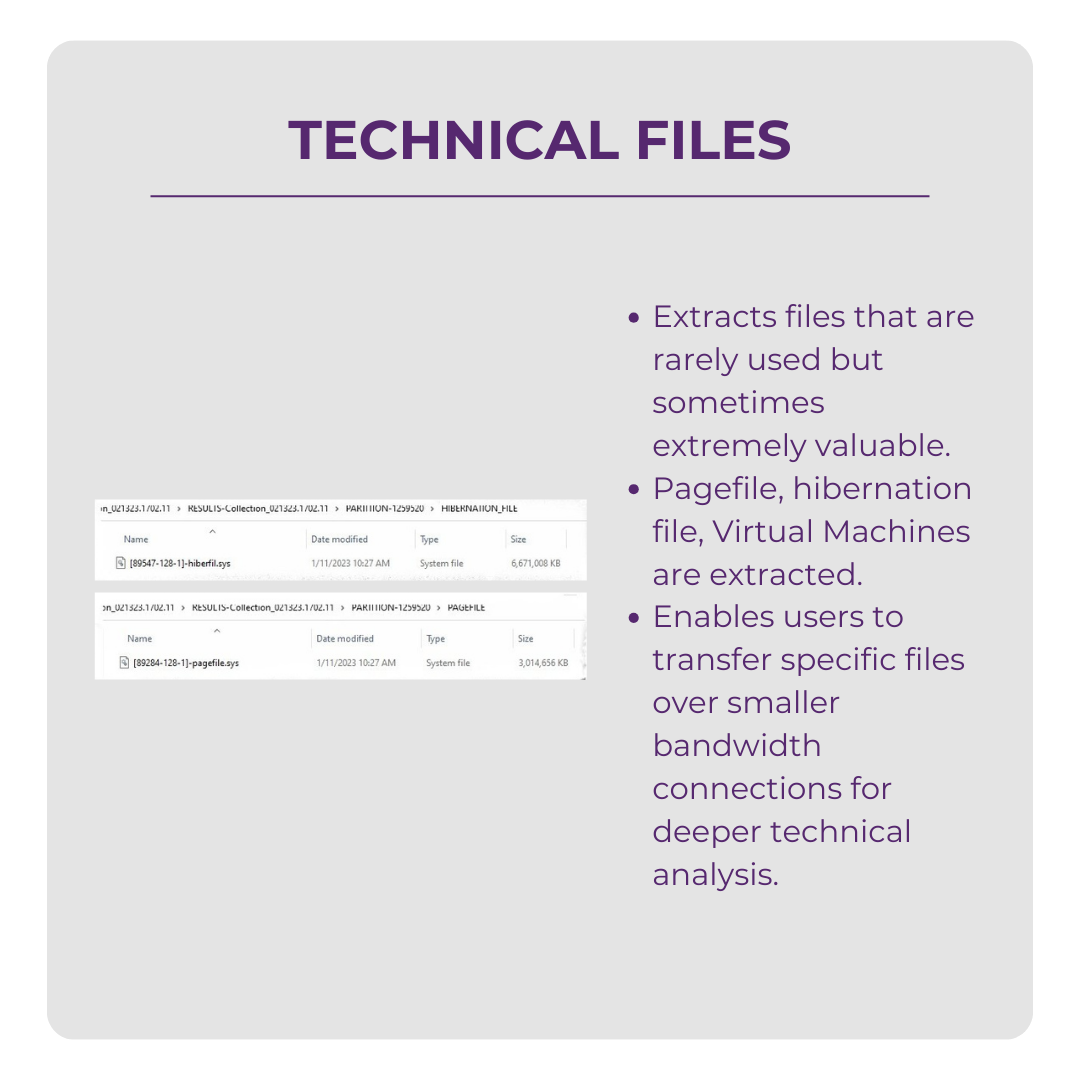 Slide titled 'Technical Files' with bullet points explaining extraction of seldom used but valuable files, with examples of system files and page files displayed.