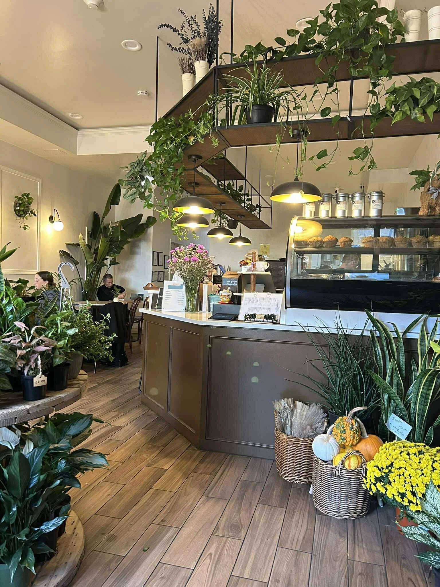 Interior of a cozy cafe decorated with various green plants, flowers, and pumpkins. There is a counter with a glass display case, hanging lights, and a few people seated at tables in the background.