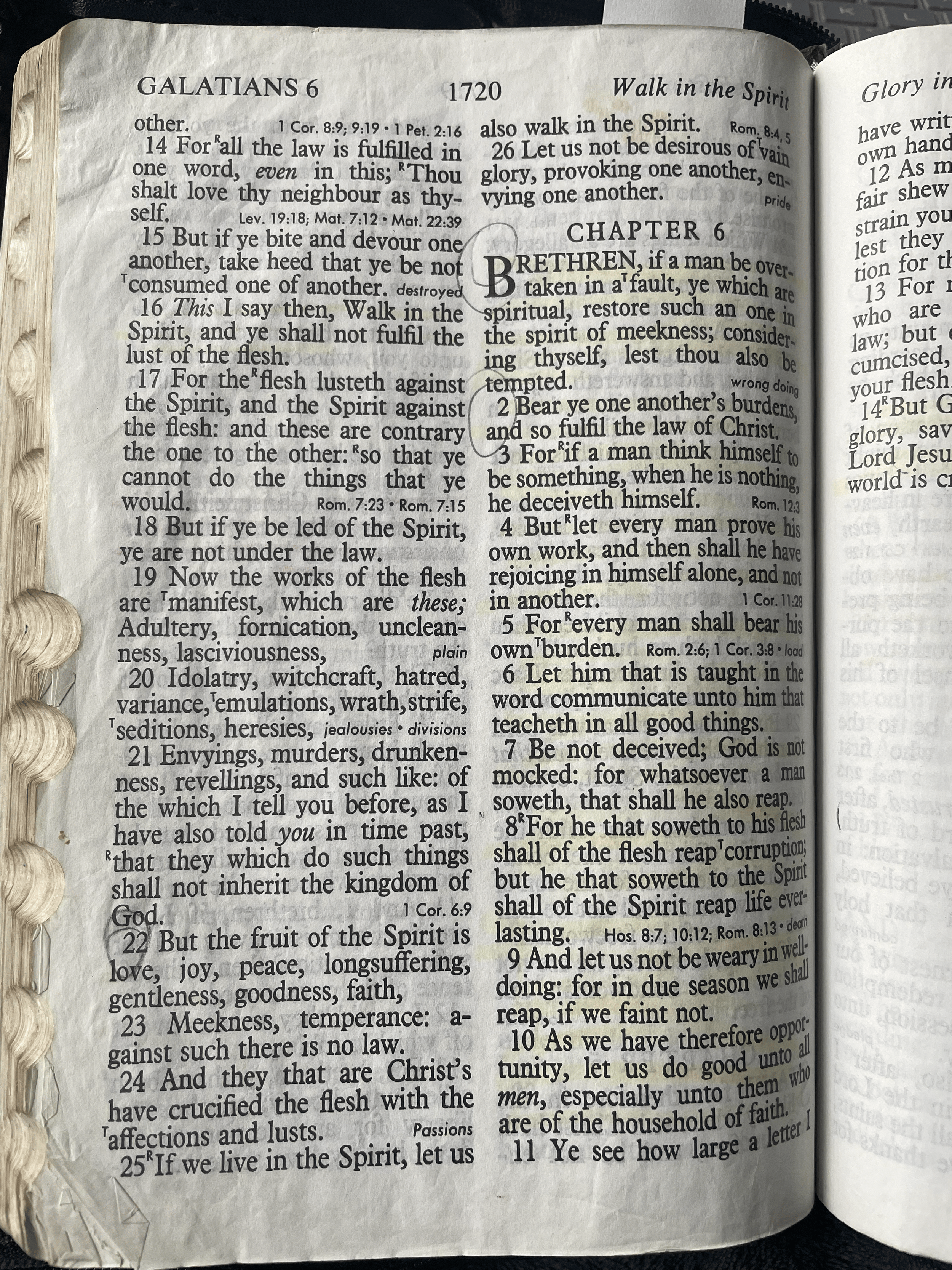 The Fruits of the Spirit: Growing a Christ-Centered Life