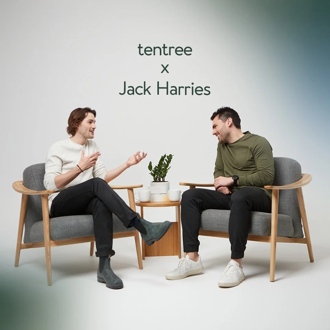 Two men sitting in armchairs facing each other, engaged in conversation, with a small table between them holding a potted plant and two white mugs. A plain background displays text that reads 'tentree x Jack Harries'.