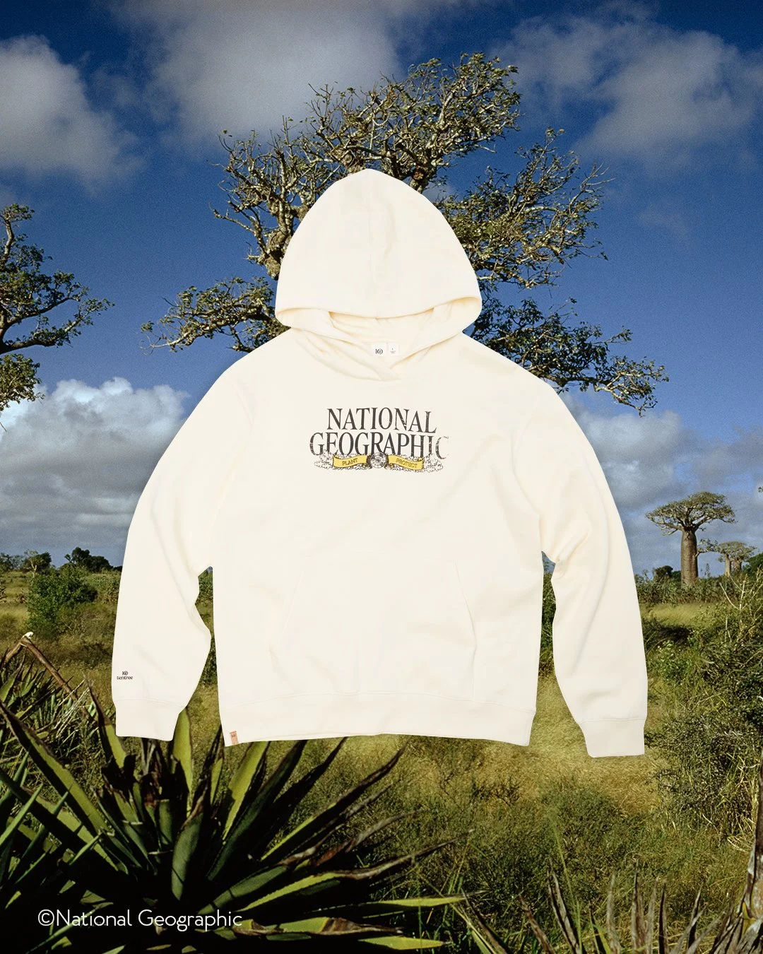 A white hoodie with the National Geographic logo and a plant illustration on the front, floating over a savannah landscape with trees and bushes under a partly cloudy sky.