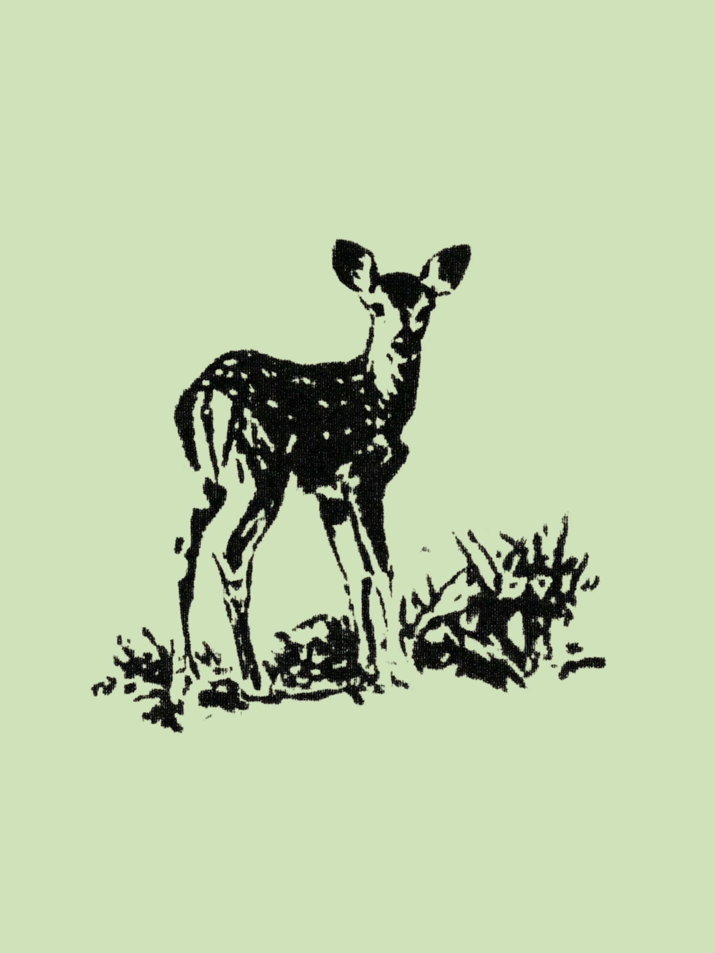 A black and white illustration of a baby giraffe standing on grass with some small bushes, set against a light green background.