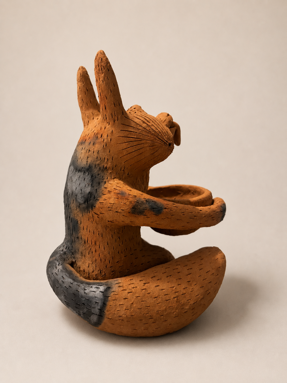 Zorrito3.png