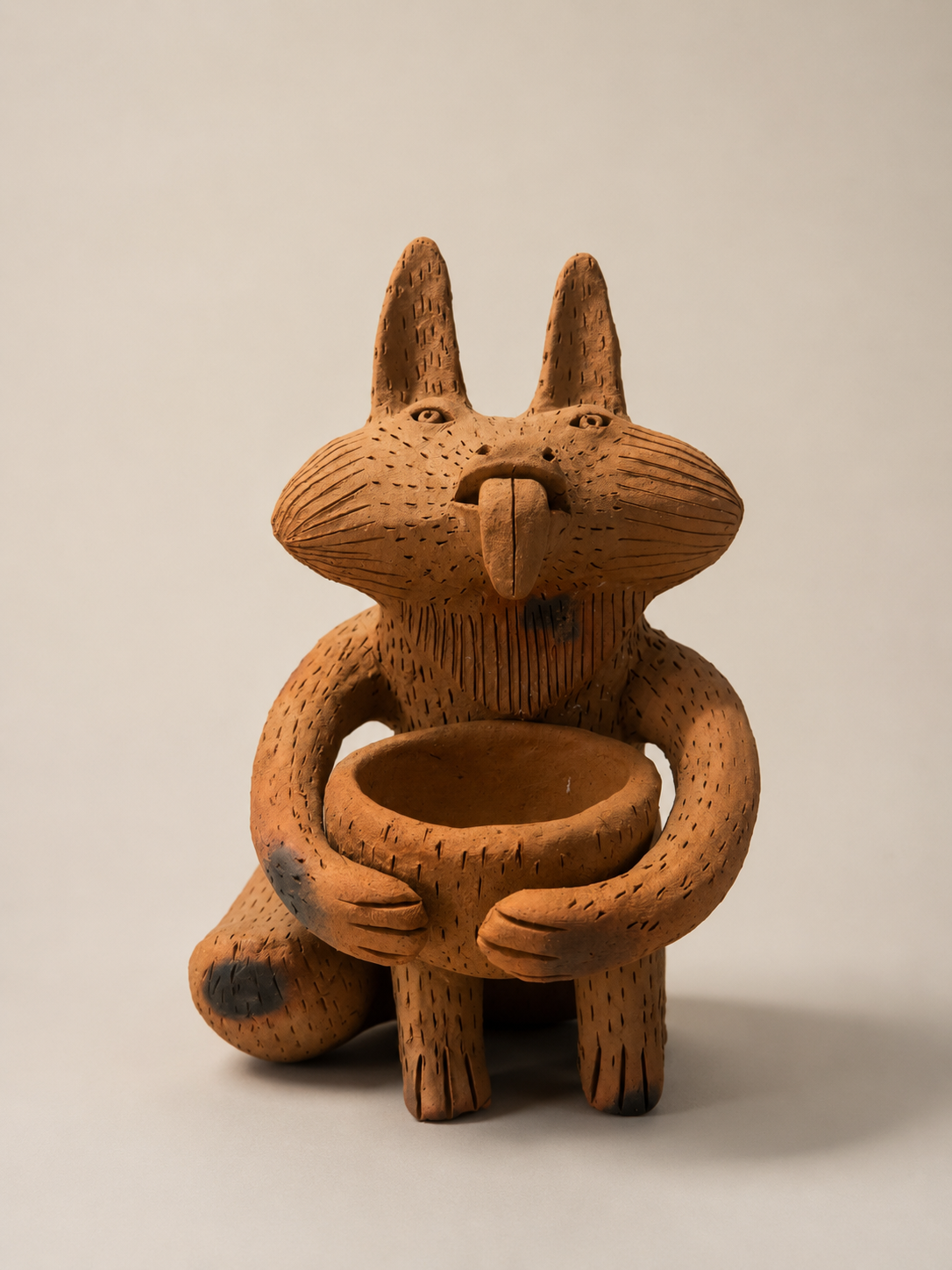 Zorrito1.png