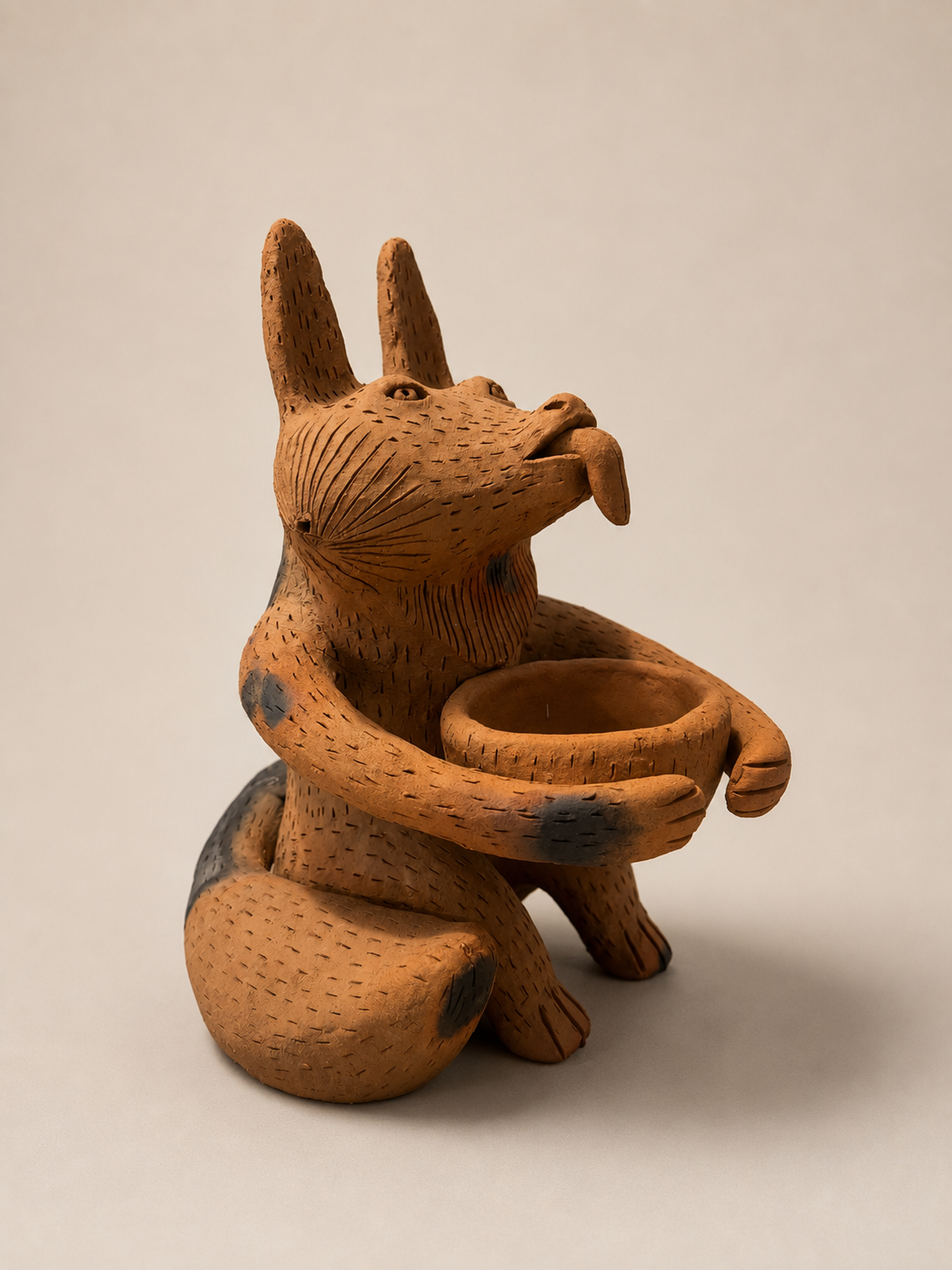 Zorrito2.png