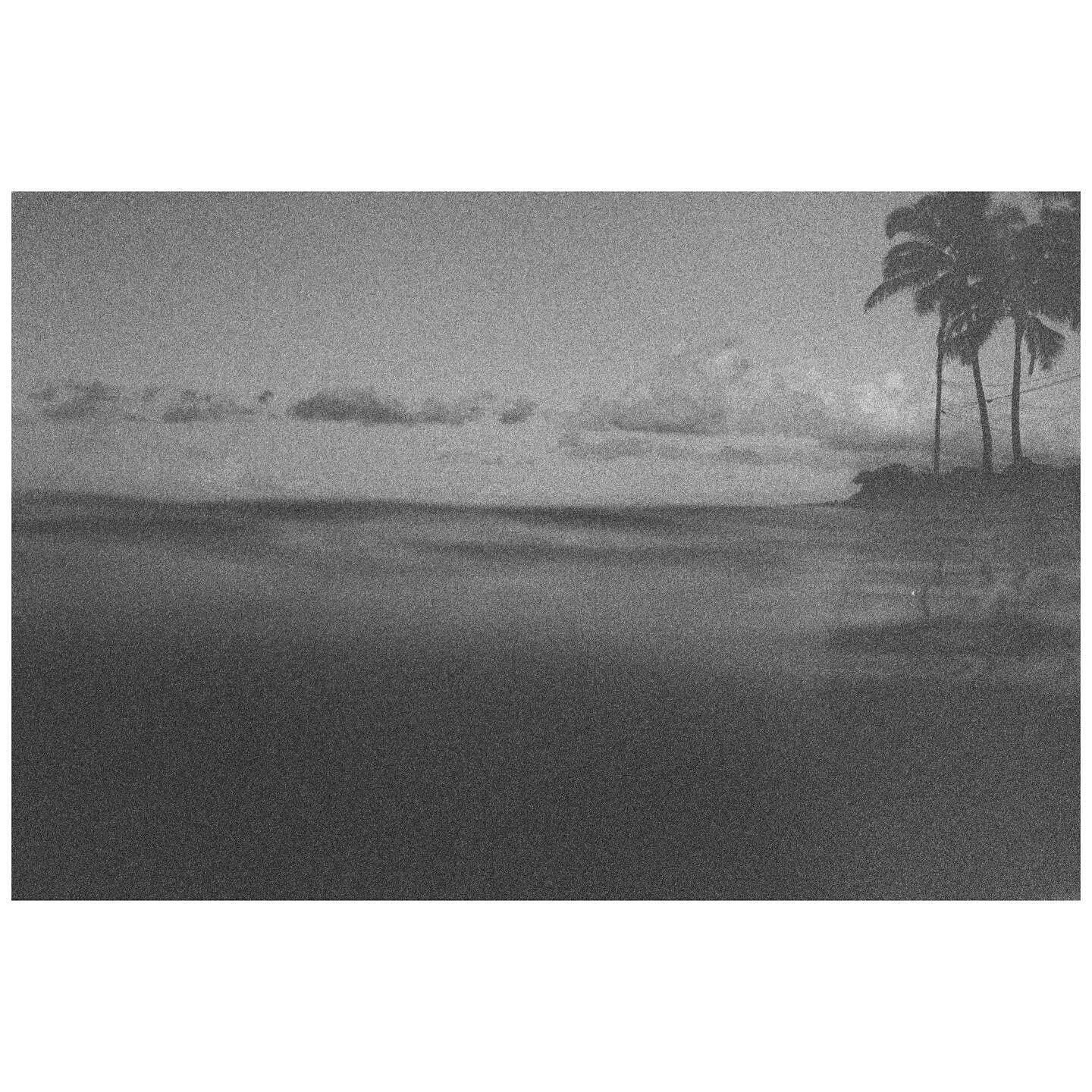 Another tree series