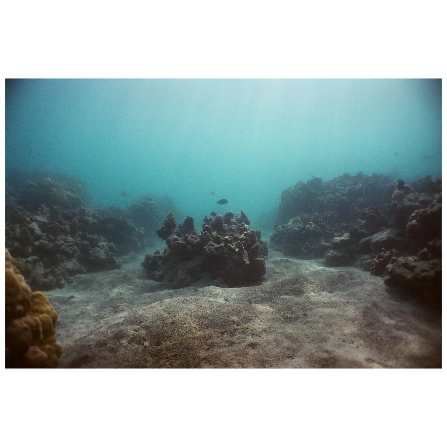 Under the sea