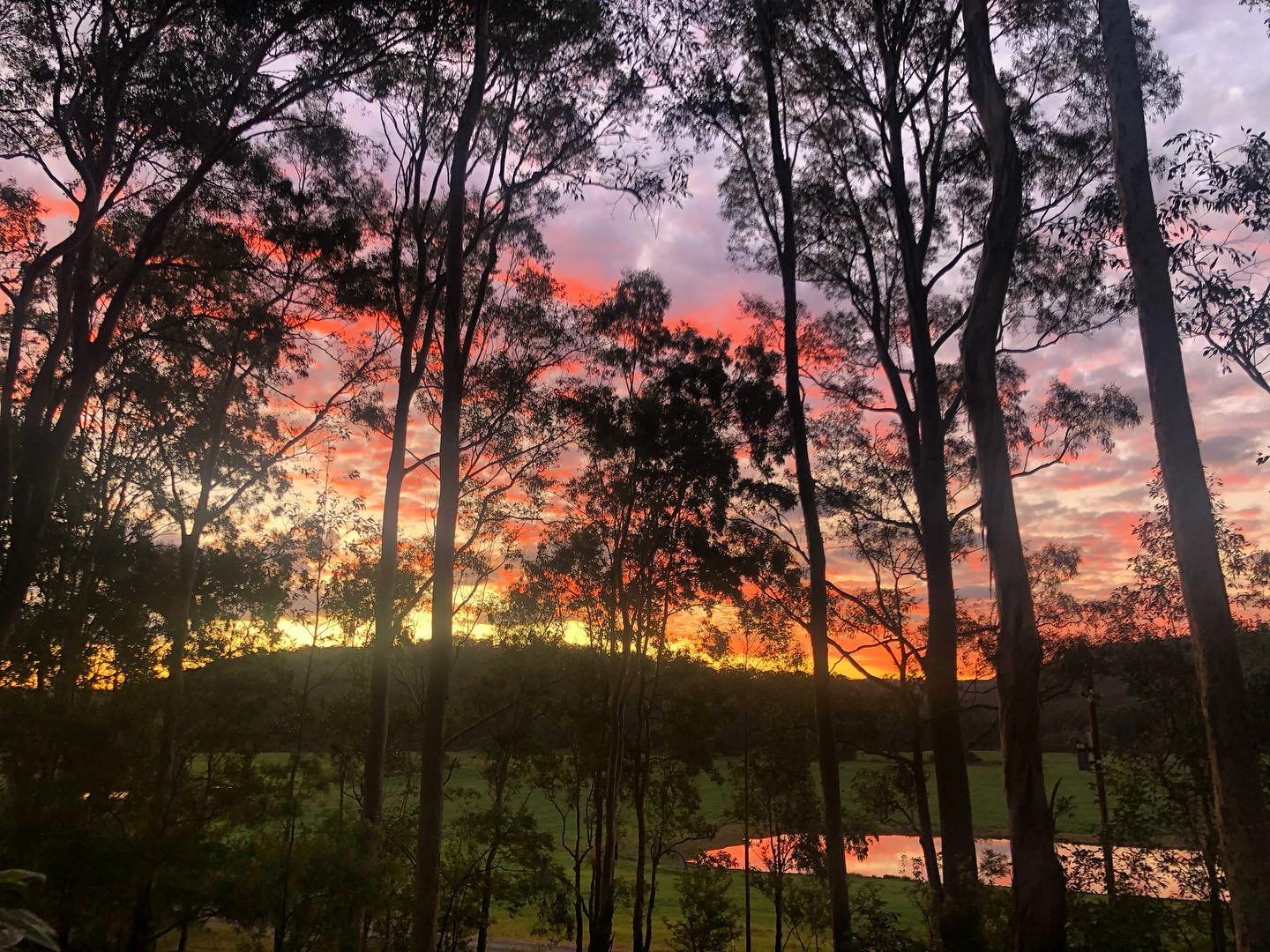 98192574_3223641031001793_3955958393386041344_n (1).jpg