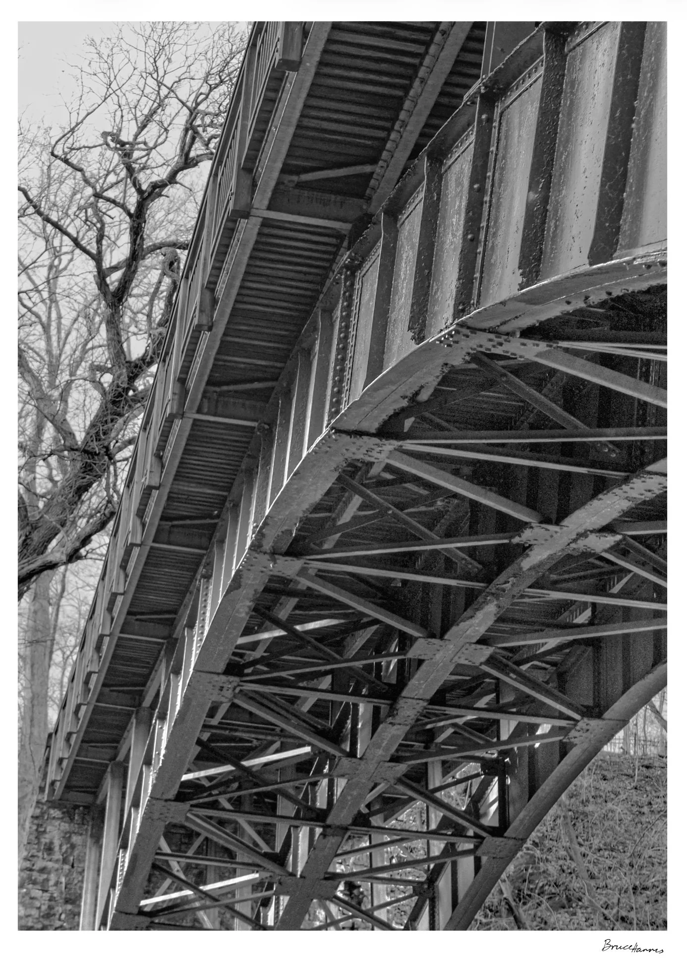 Black-and-white photograph looking up beneath a steel bridge, with riveted beams and cross-bracing extending over a ravine framed by bare trees.