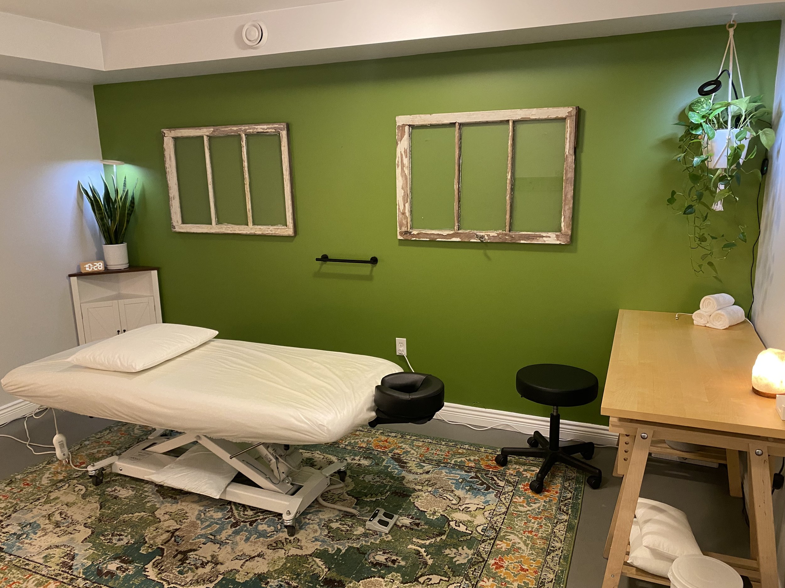 Tranquil green treatment room with plants
