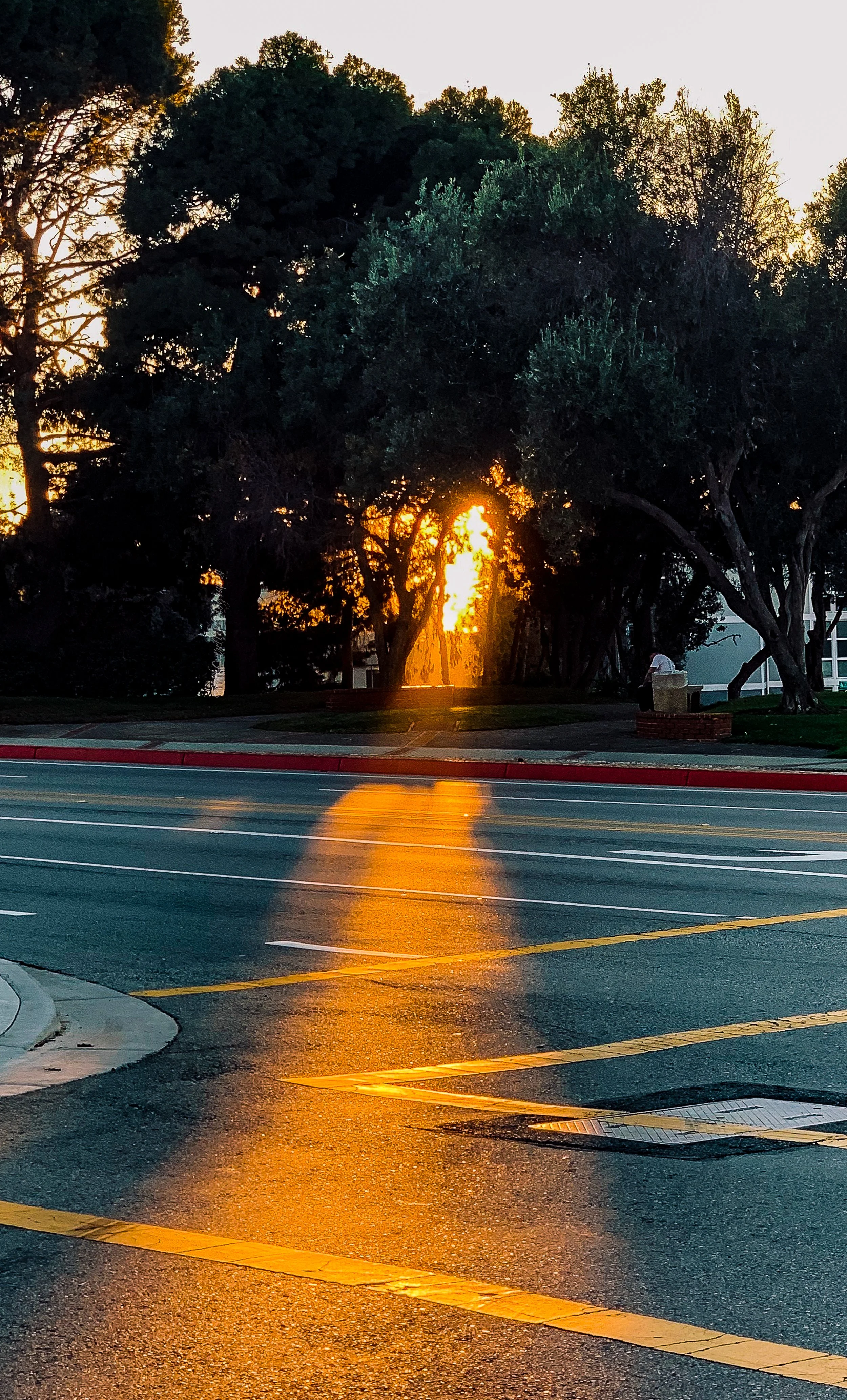 GoldenLight.jpg