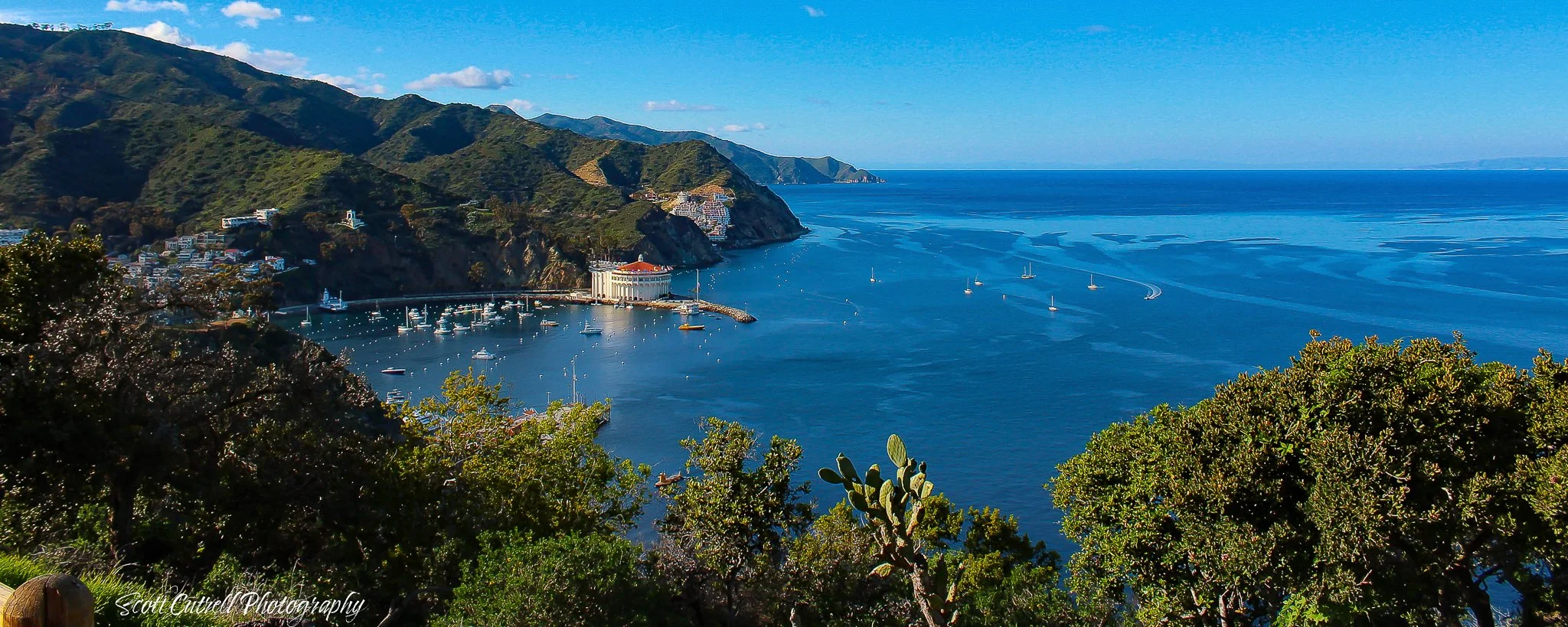 20190208-Catalina West.jpg