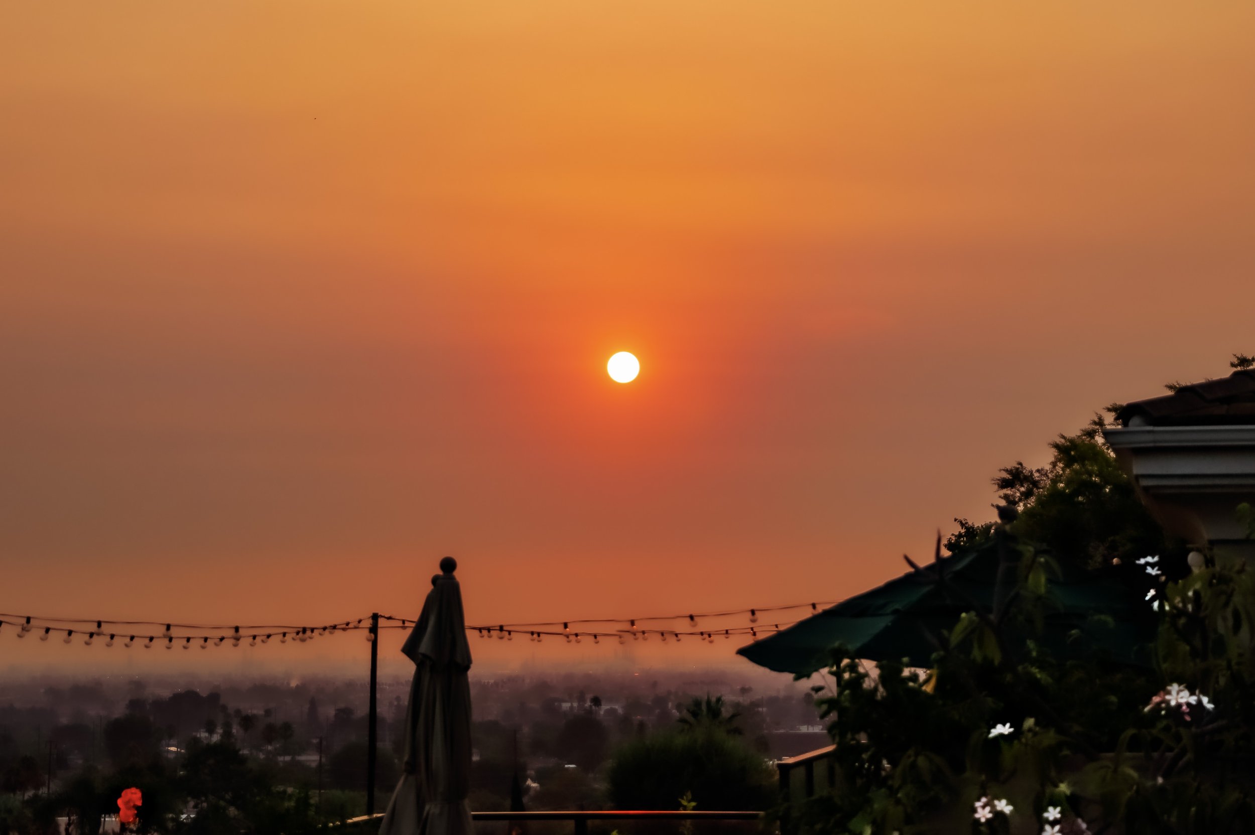6-IMG_4038.jpg