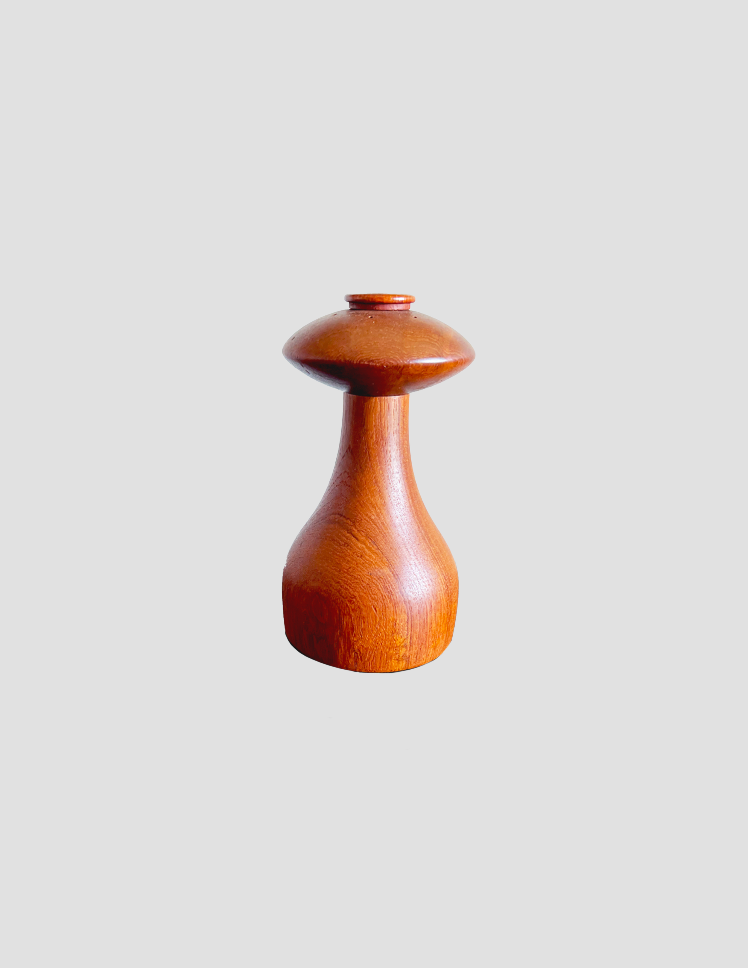 aashroom2.png