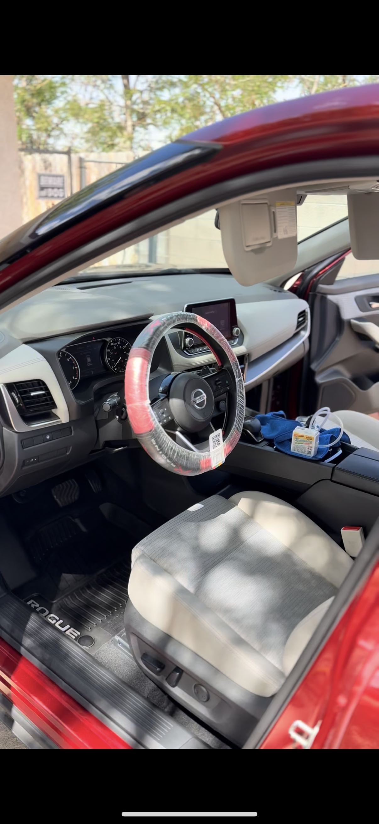 odor removal detailing service