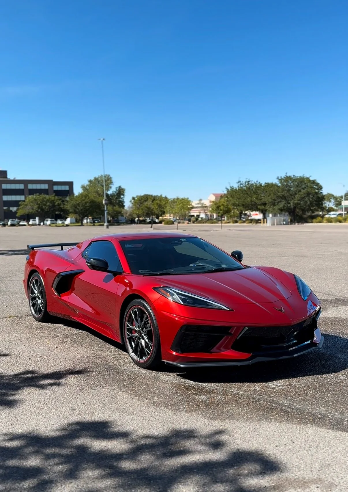corvette exterior detail, shiny car after waxing