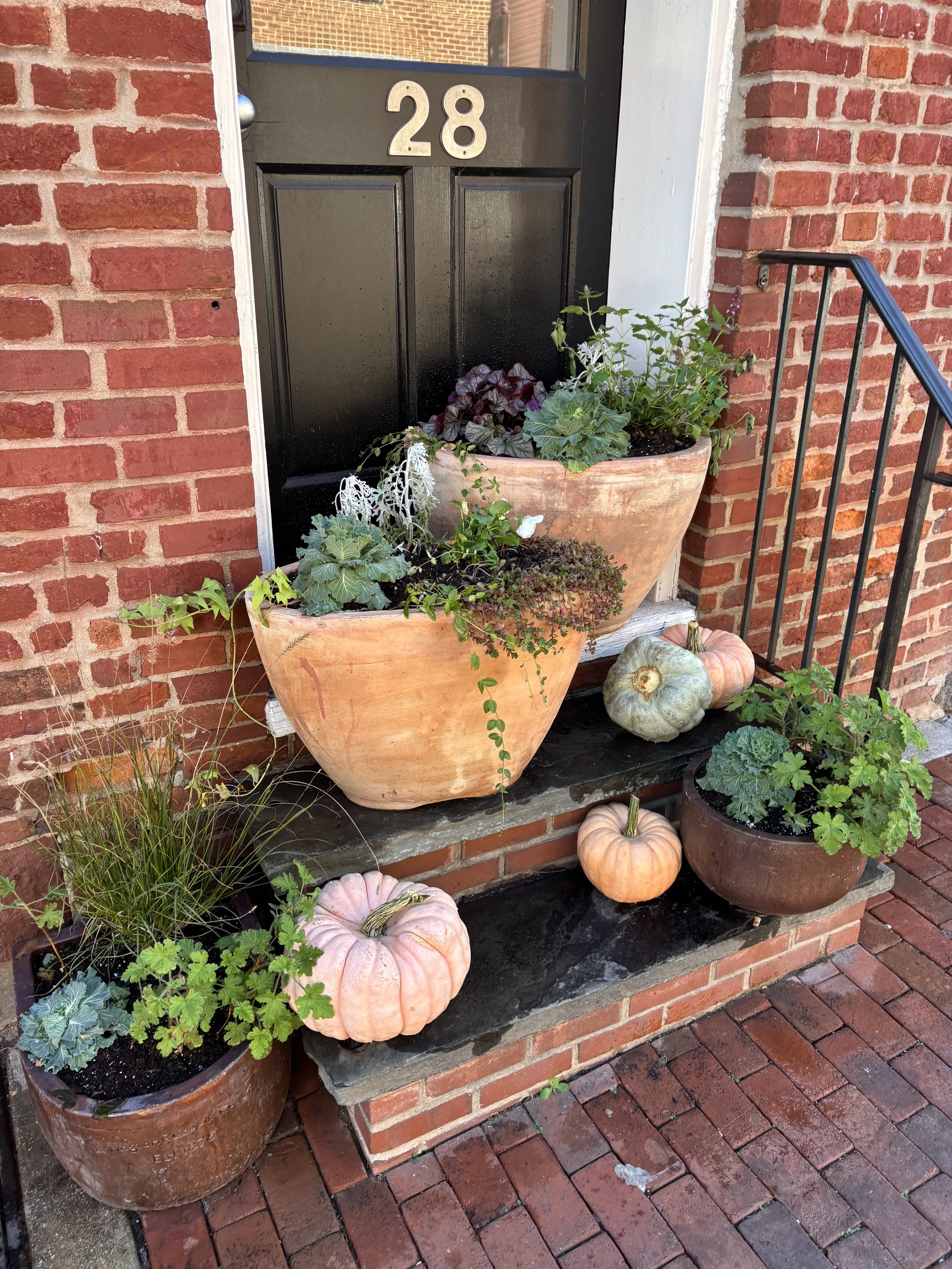 Falling for Downtown