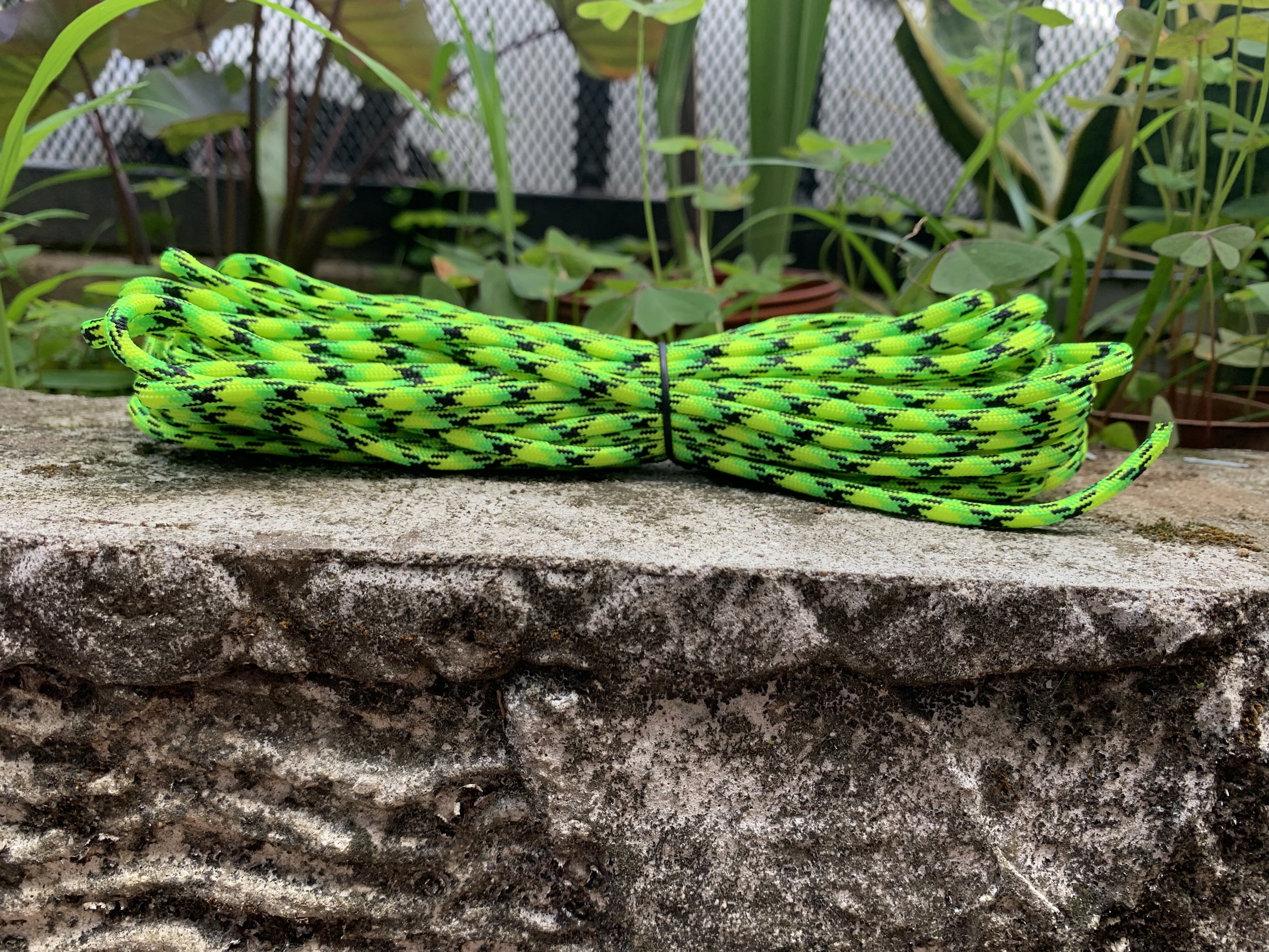 Neon Snake
