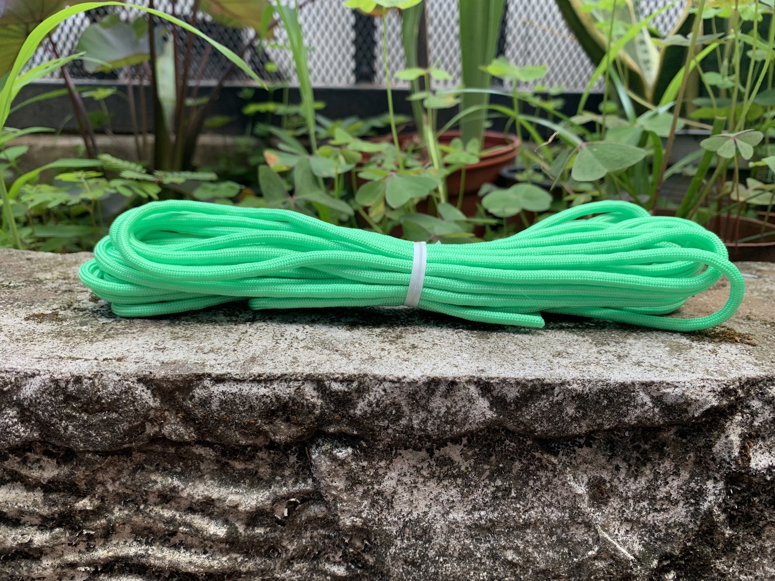 Neon Mint