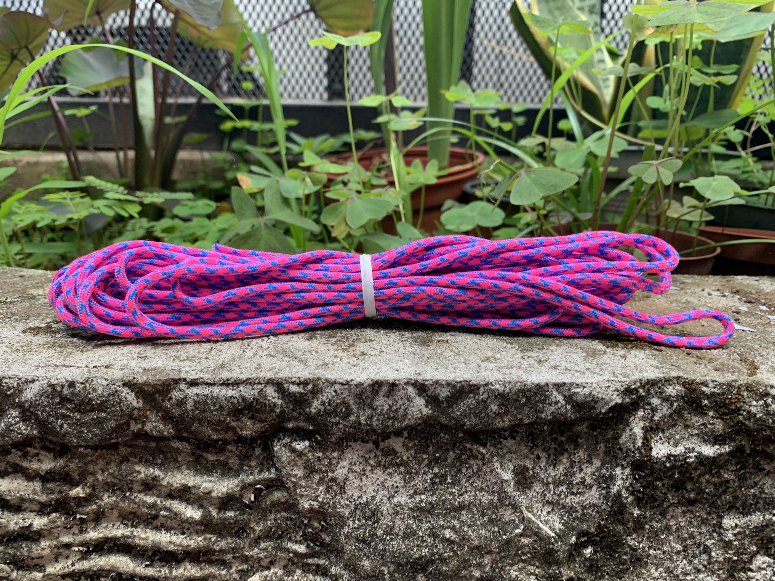 Neon Pink/Blue