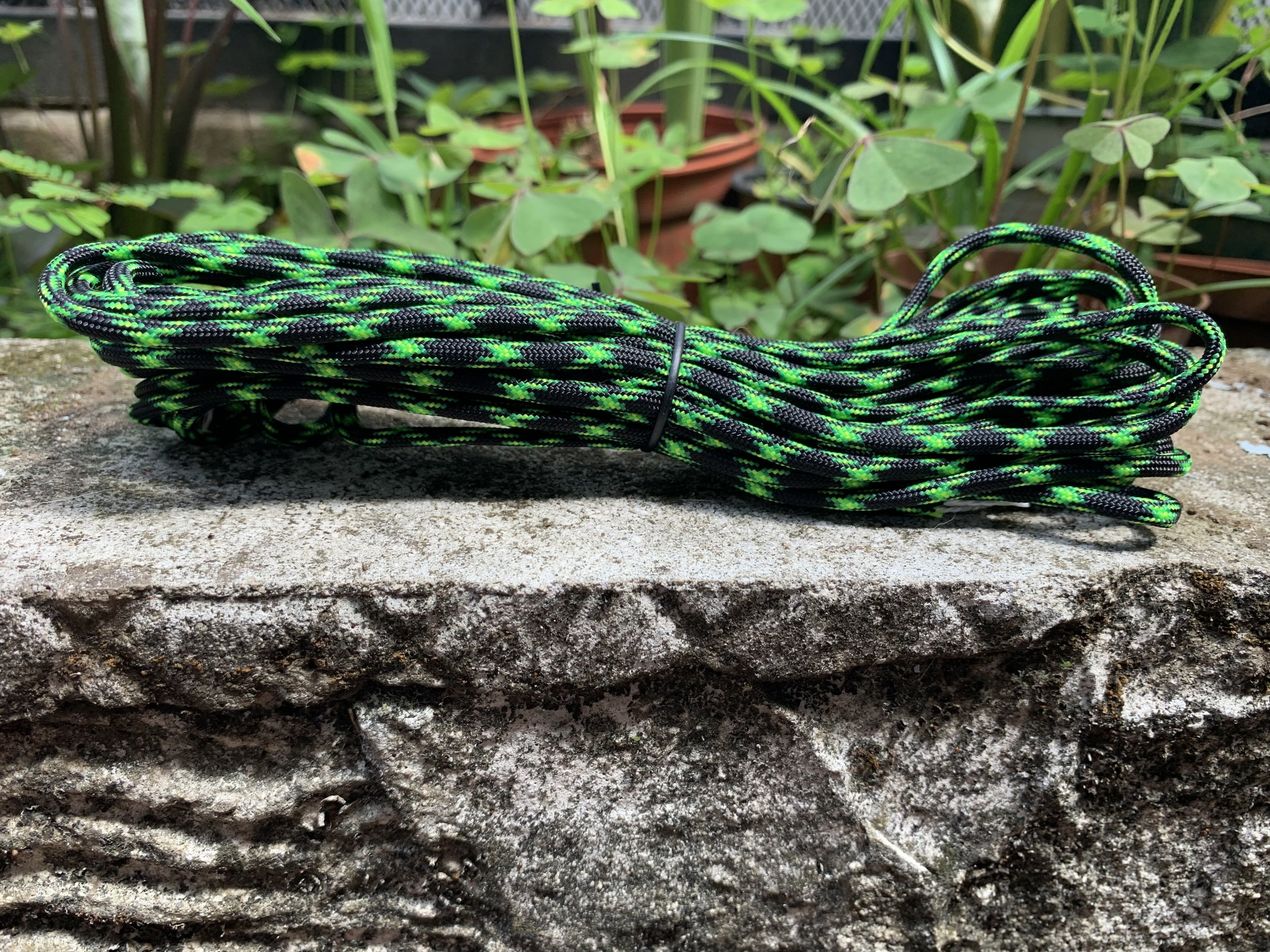Neon Black Snake
