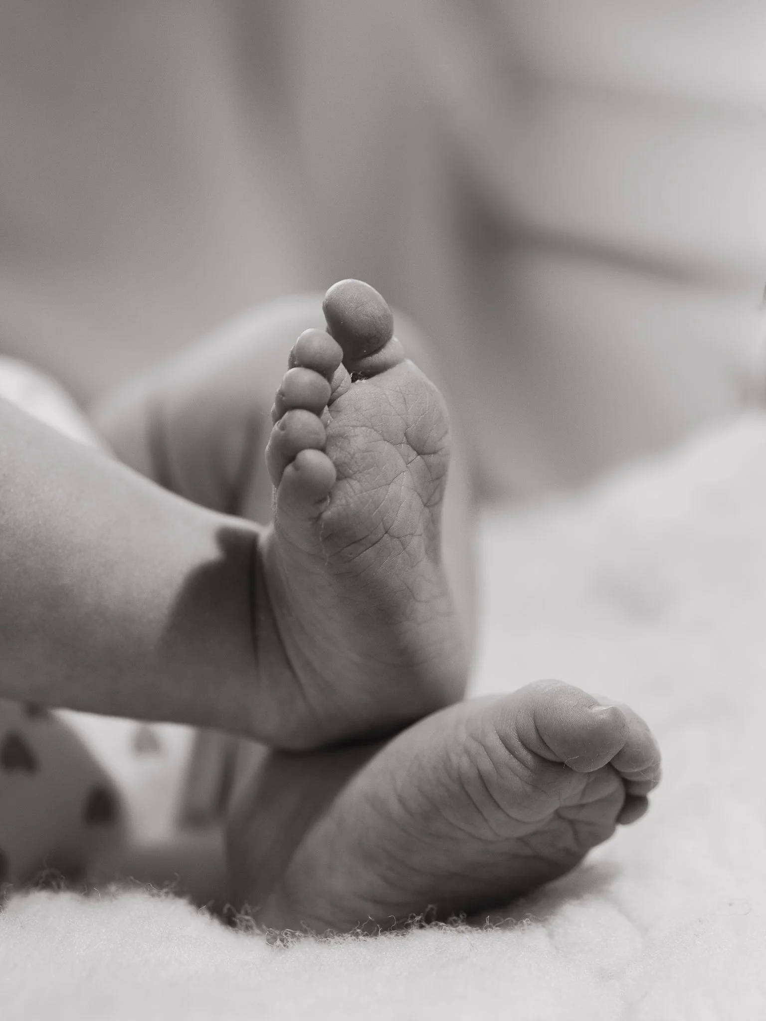 Photographe Moutiers – Photographe Tarentaise - Photographe Savoie