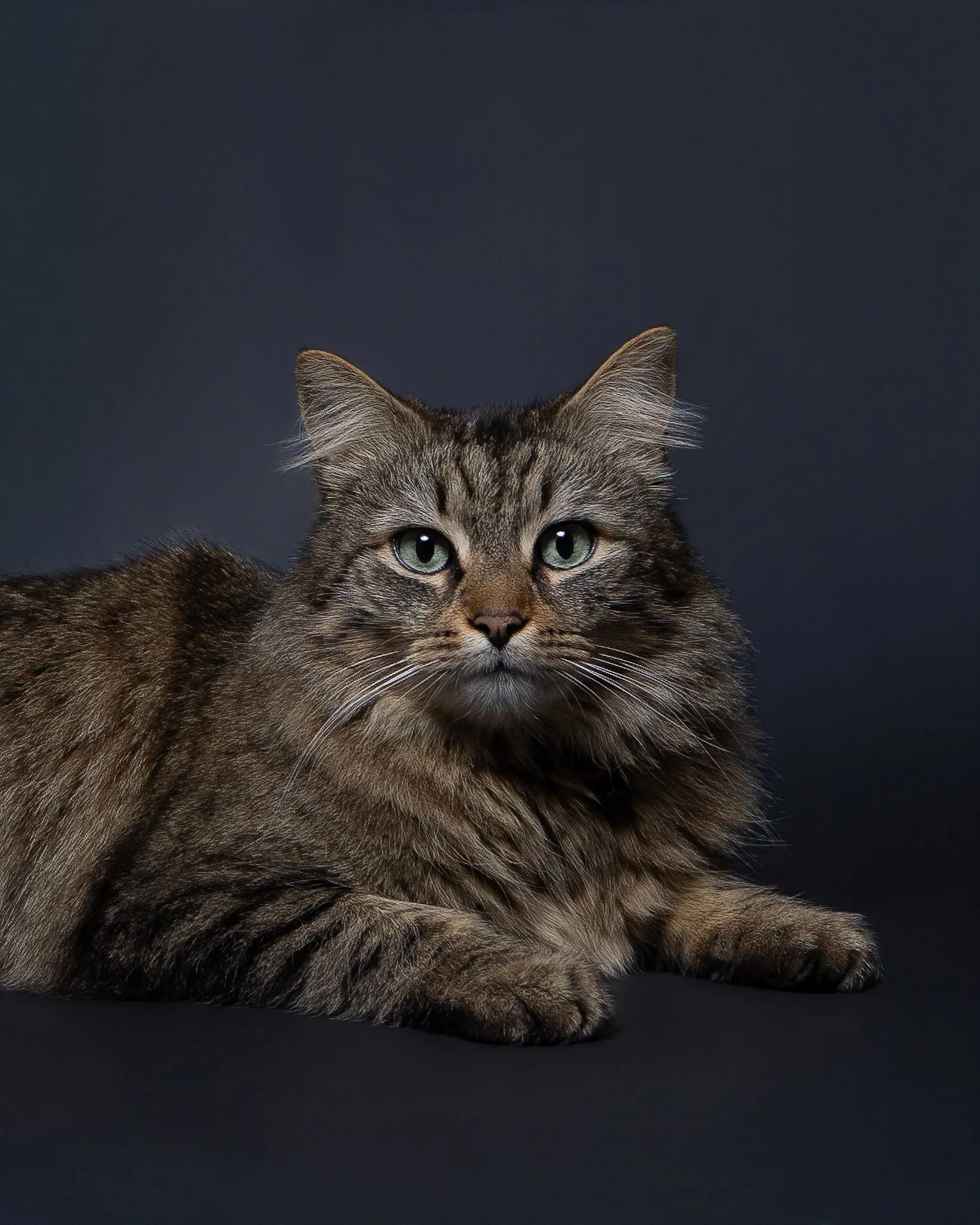 Photographe Moutiers – Photographe Tarentaise - Photographe Savoie