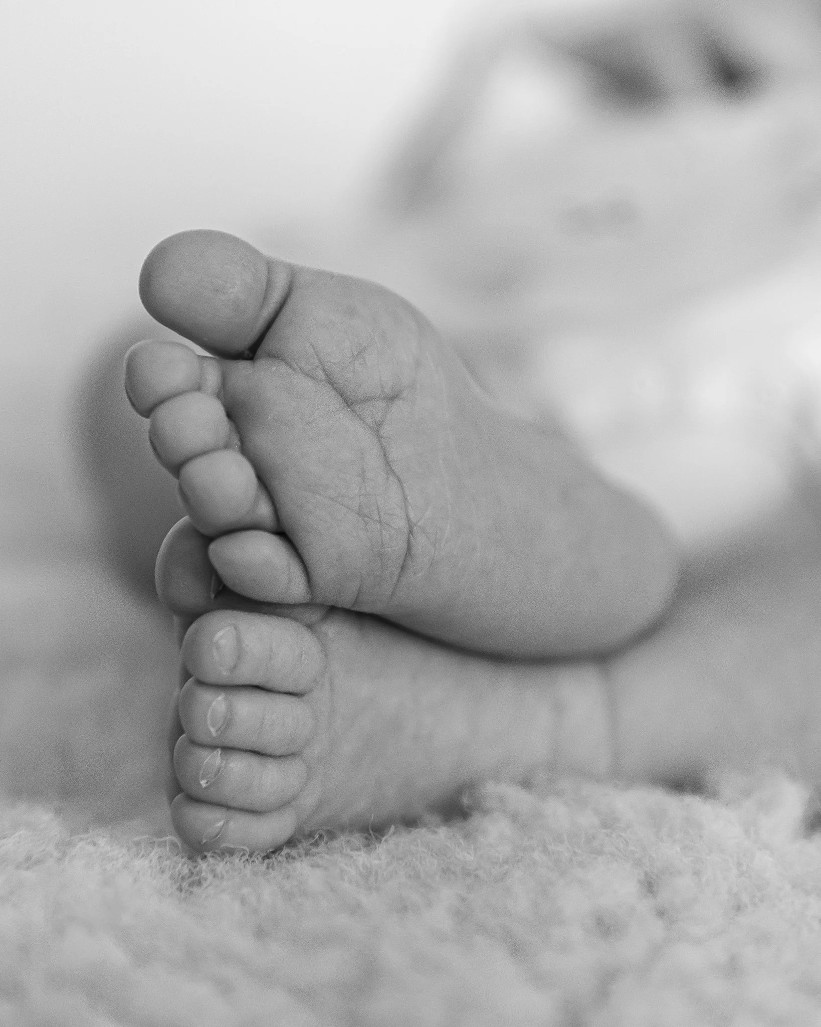 Photographe Moutiers – Photographe Tarentaise - Photographe Savoie